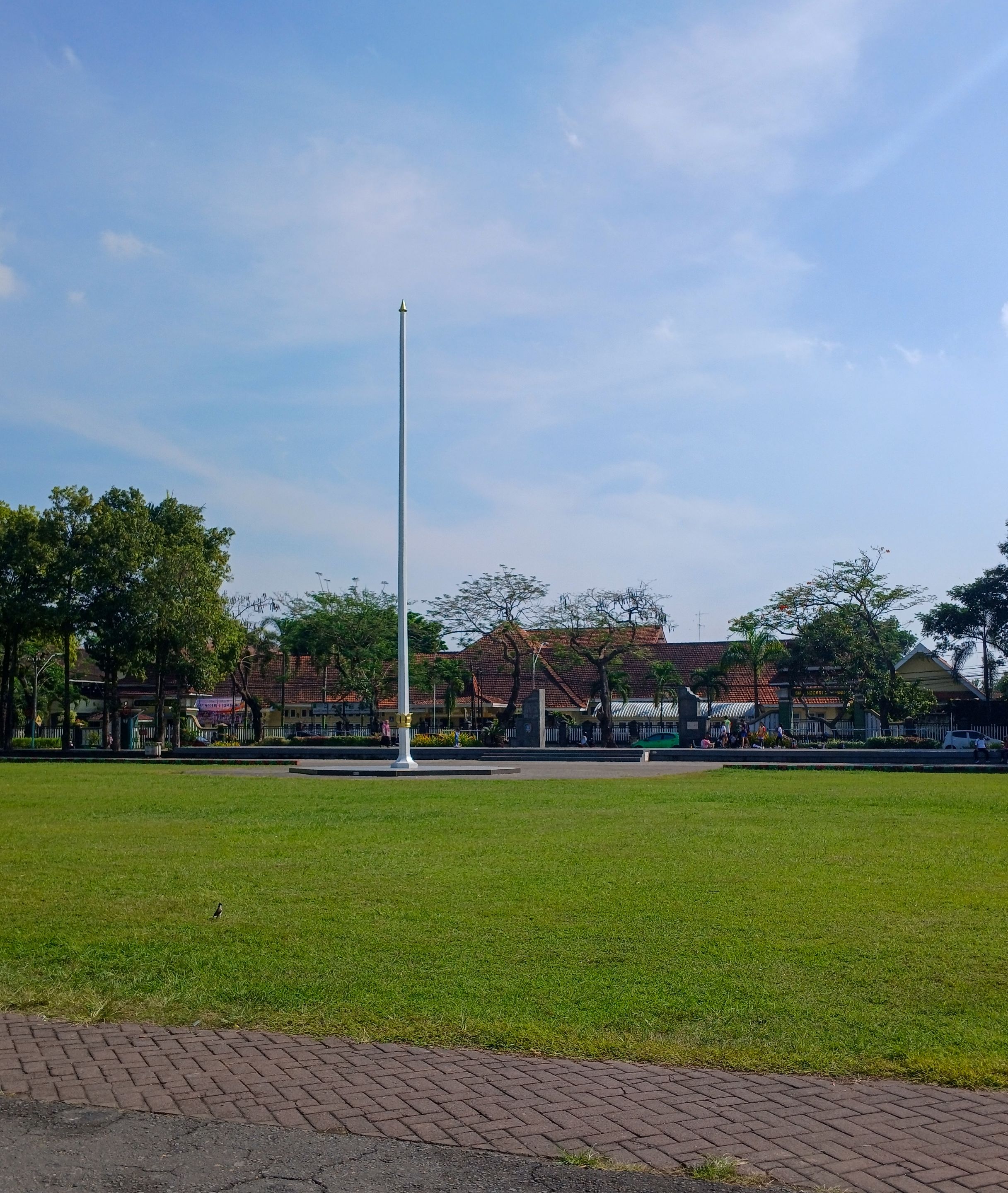 20250627_091224.jpg