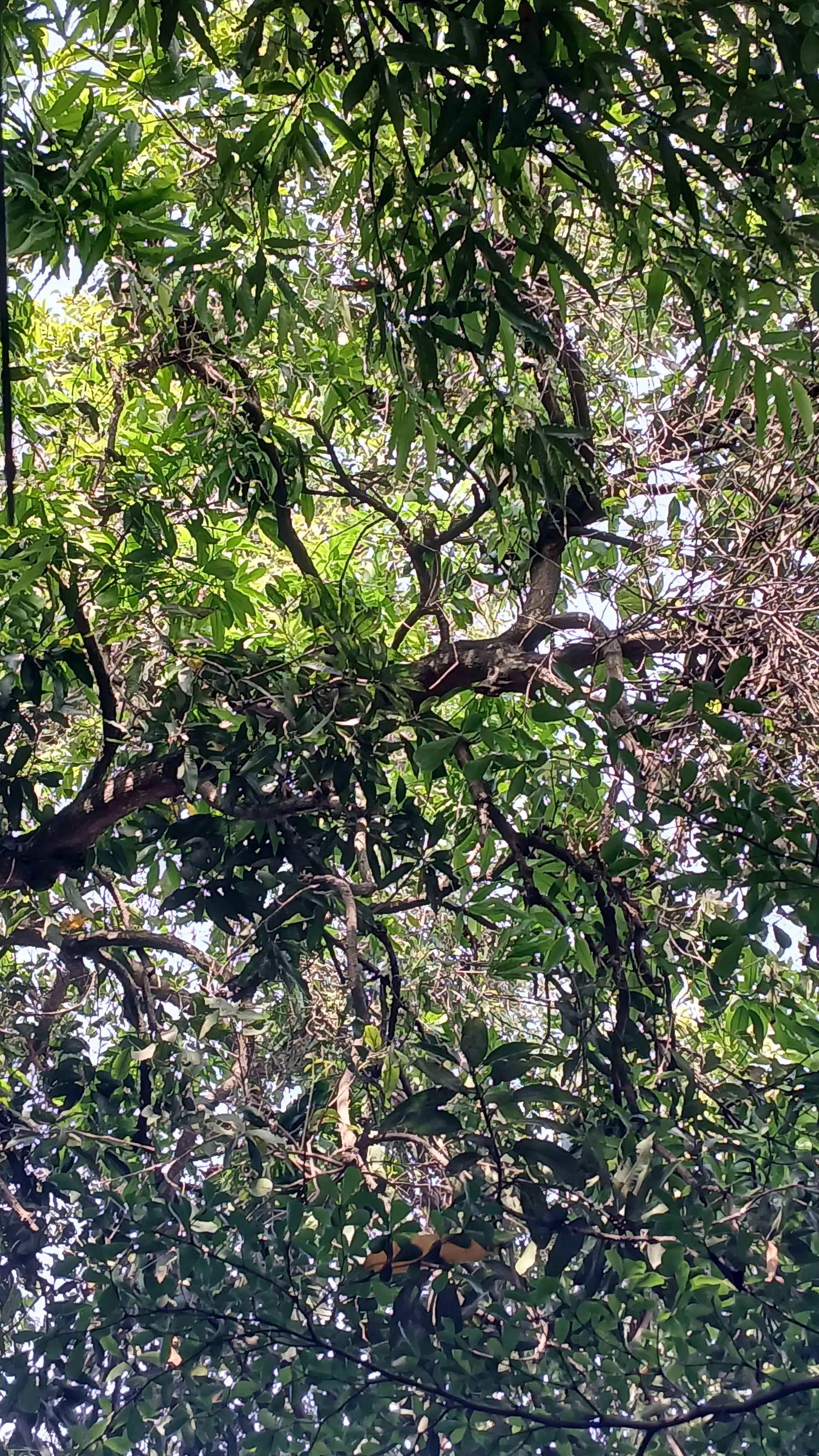 20250913_084020.jpg