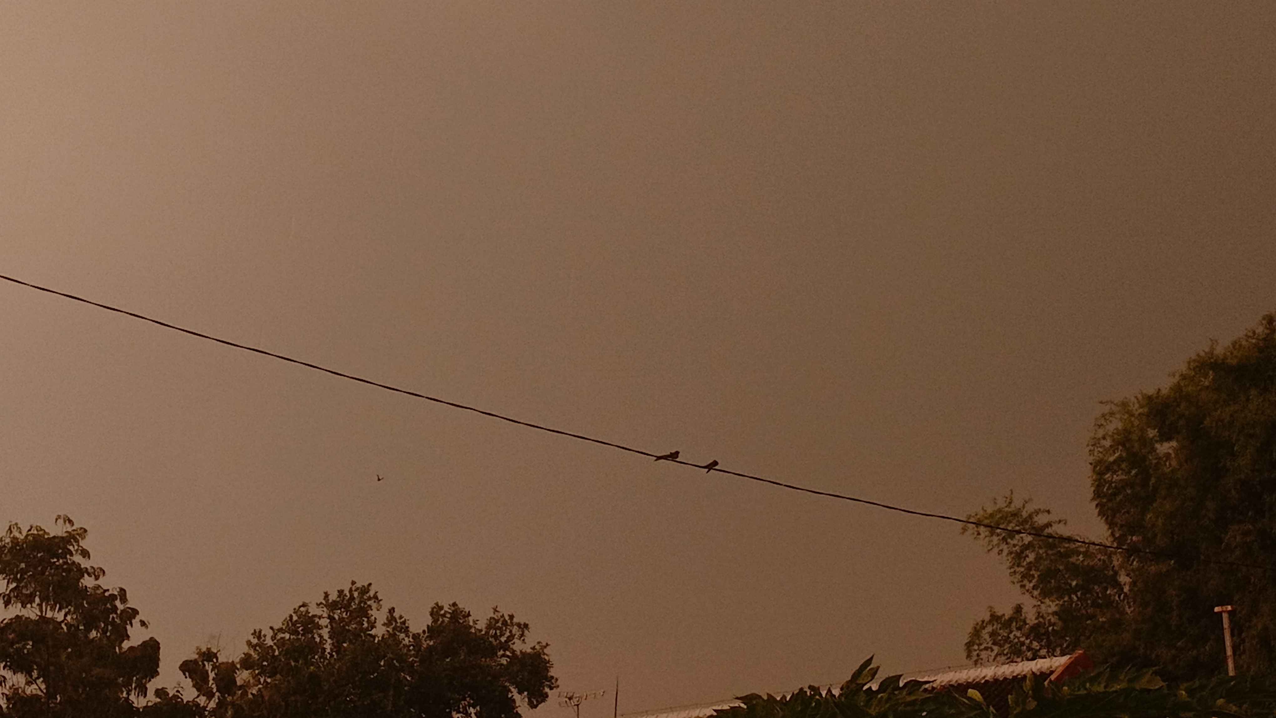 20250921_161953.jpg