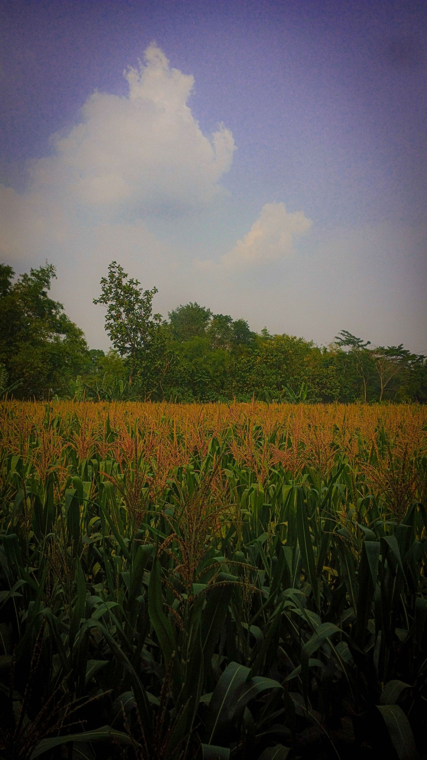 20250921_142646.jpg