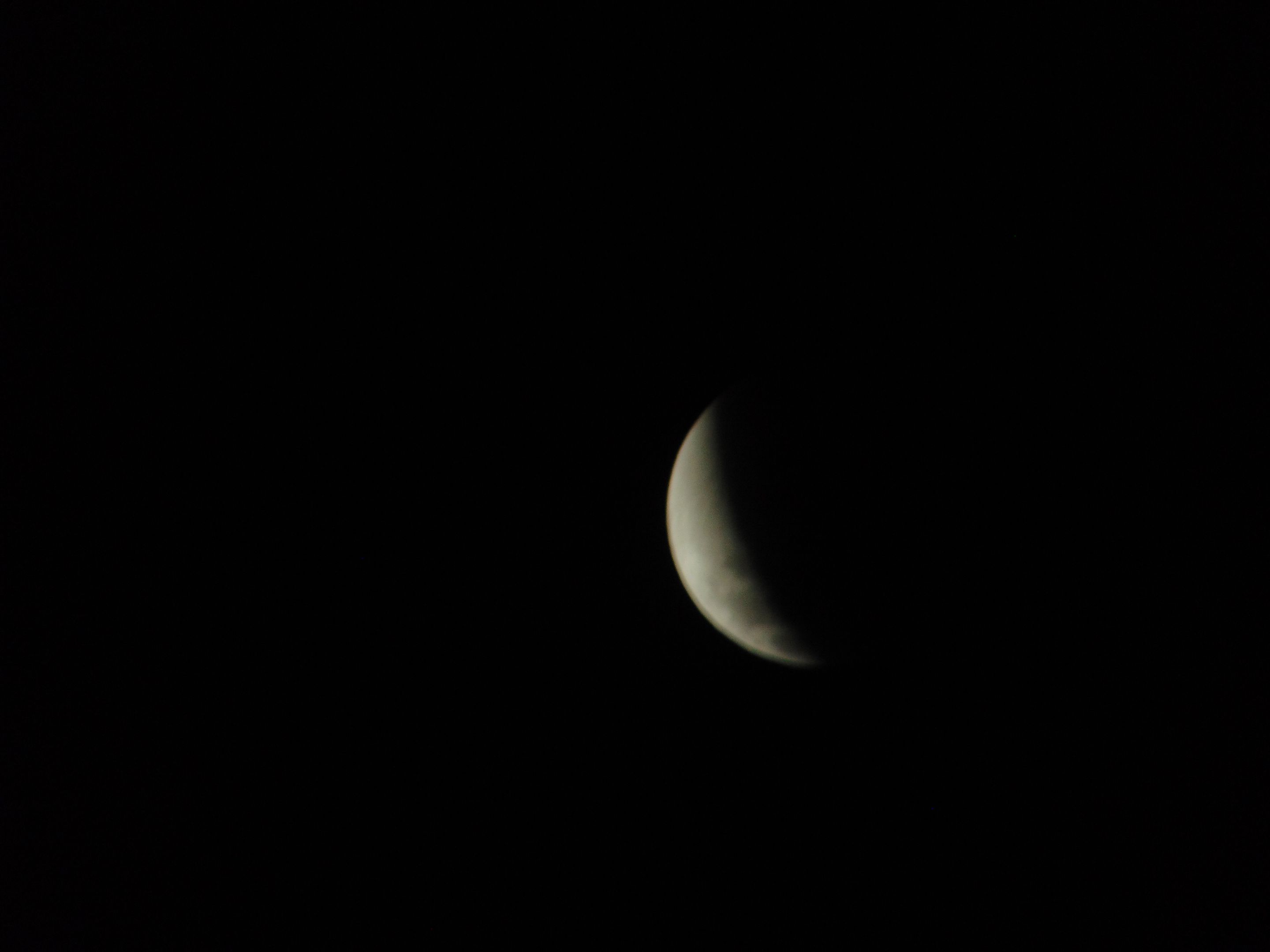 DSC08002.JPG