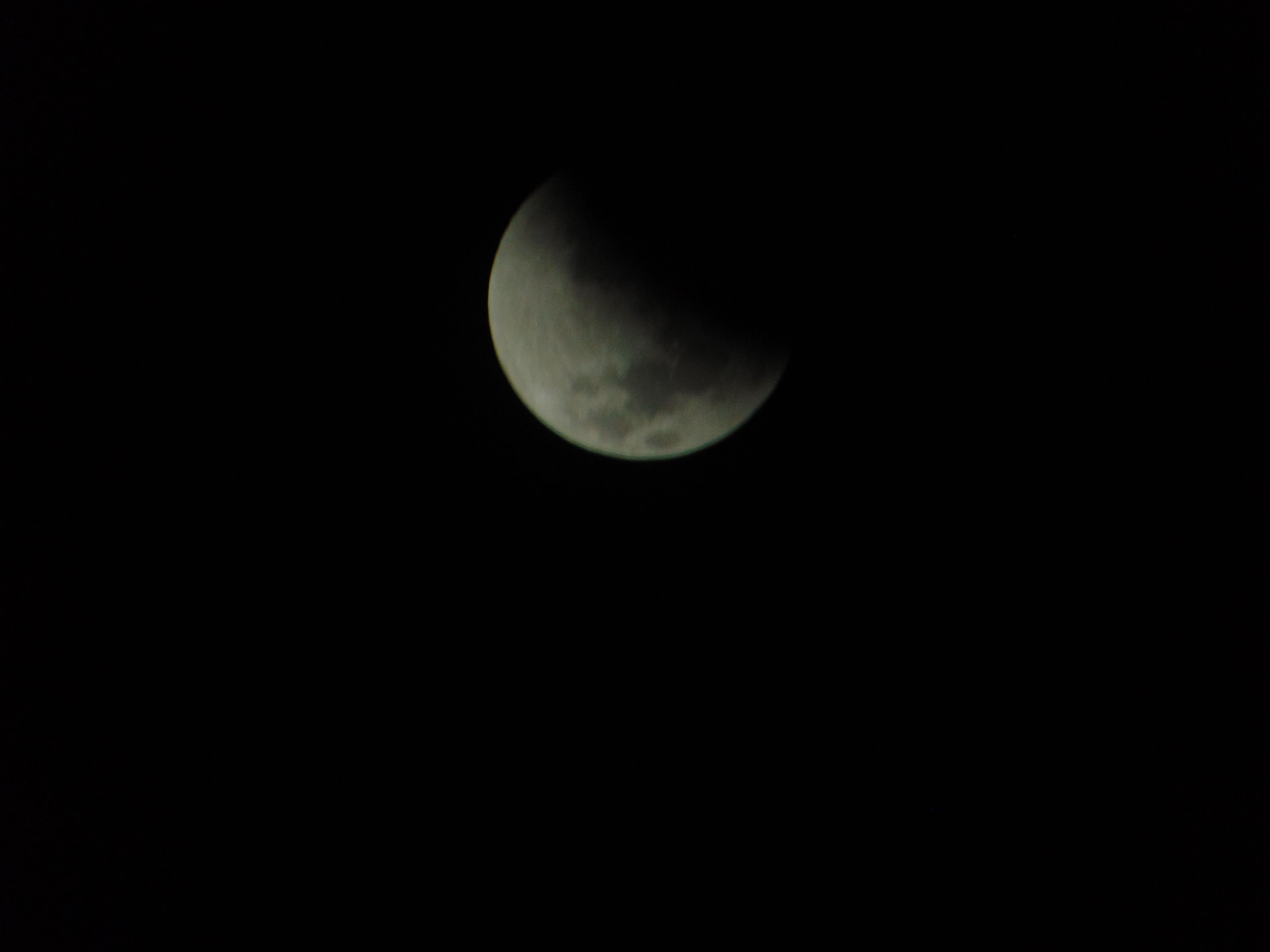 DSC07981.JPG