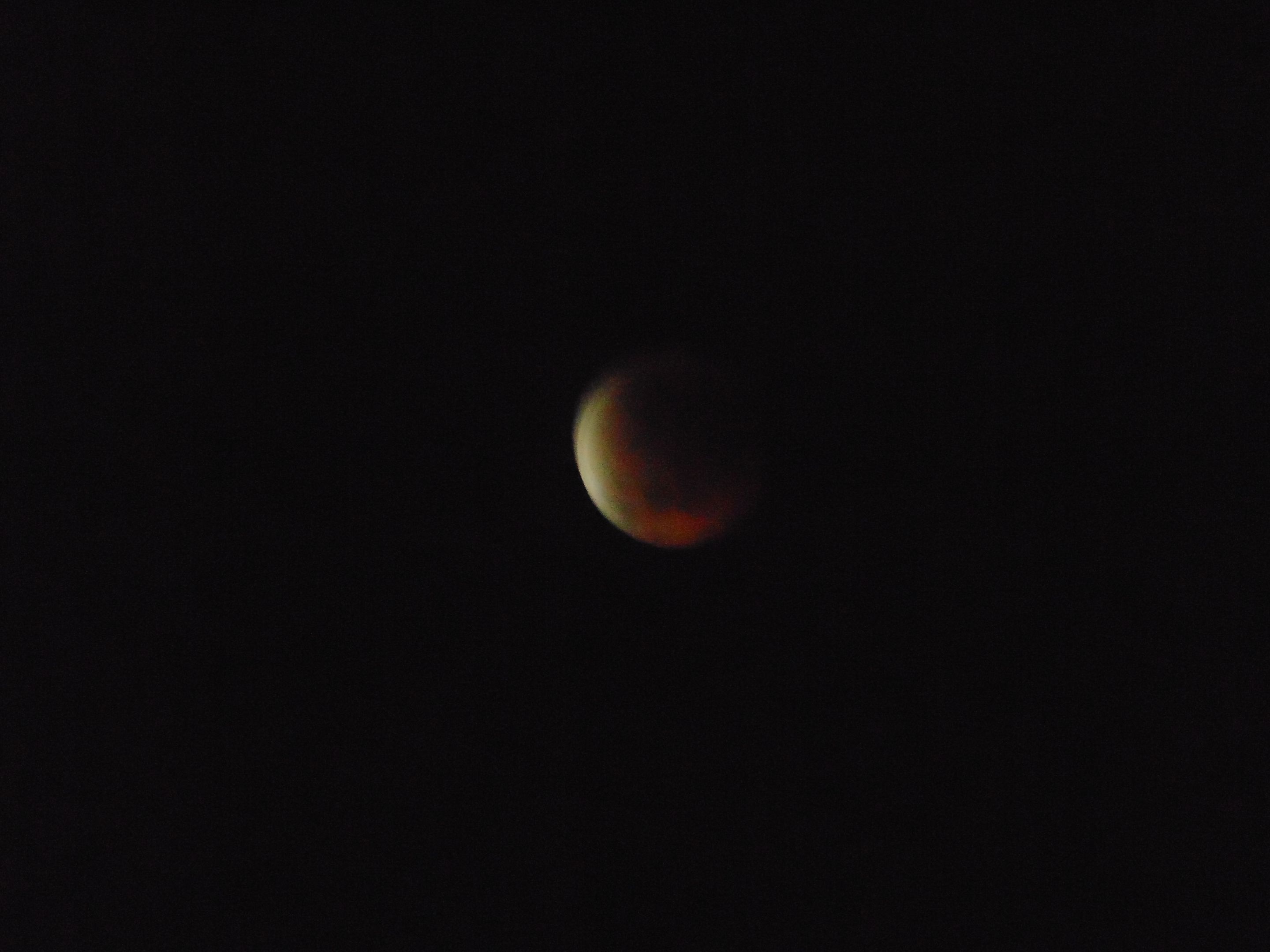 DSC08029.JPG