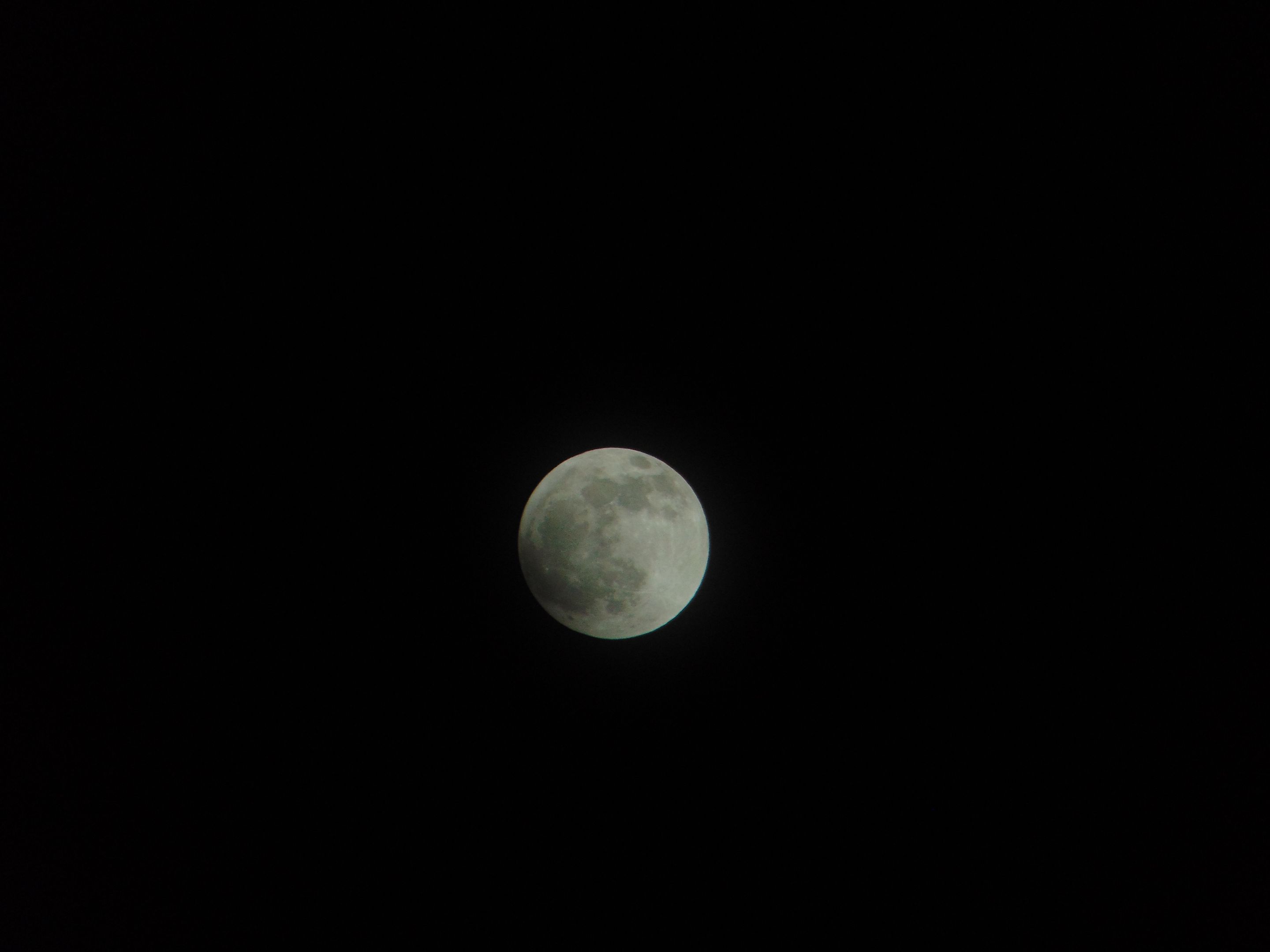 DSC07972.JPG