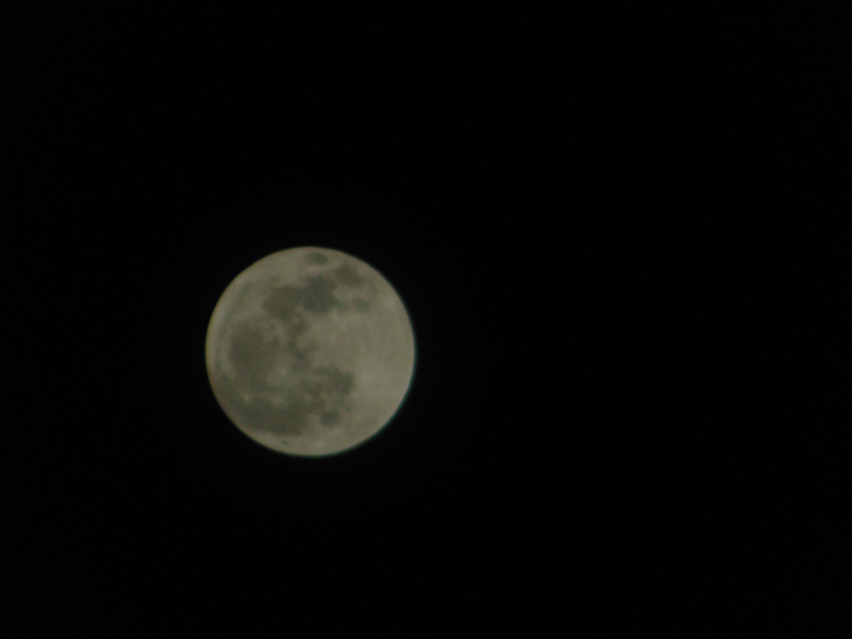 DSC07968.JPG