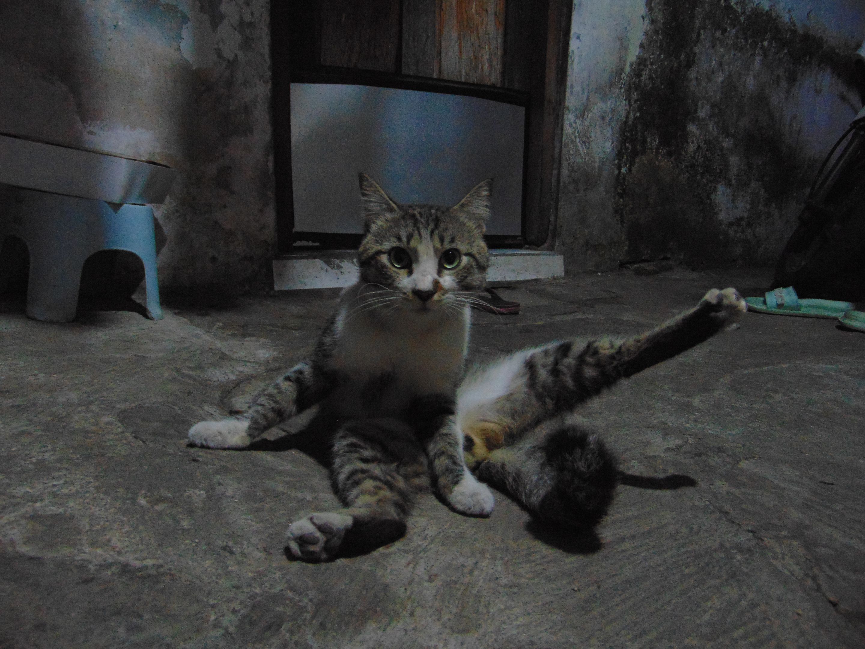 DSC04263.JPG