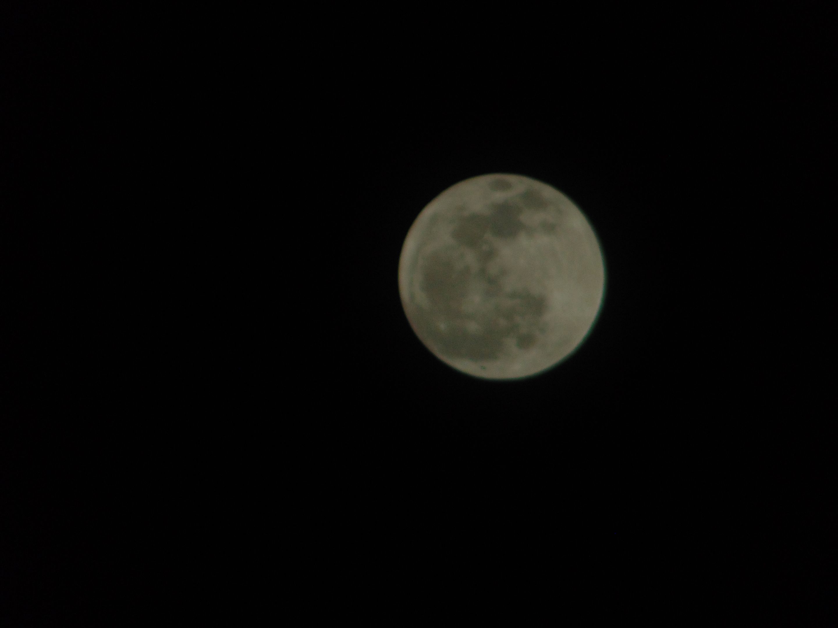 DSC07971.JPG