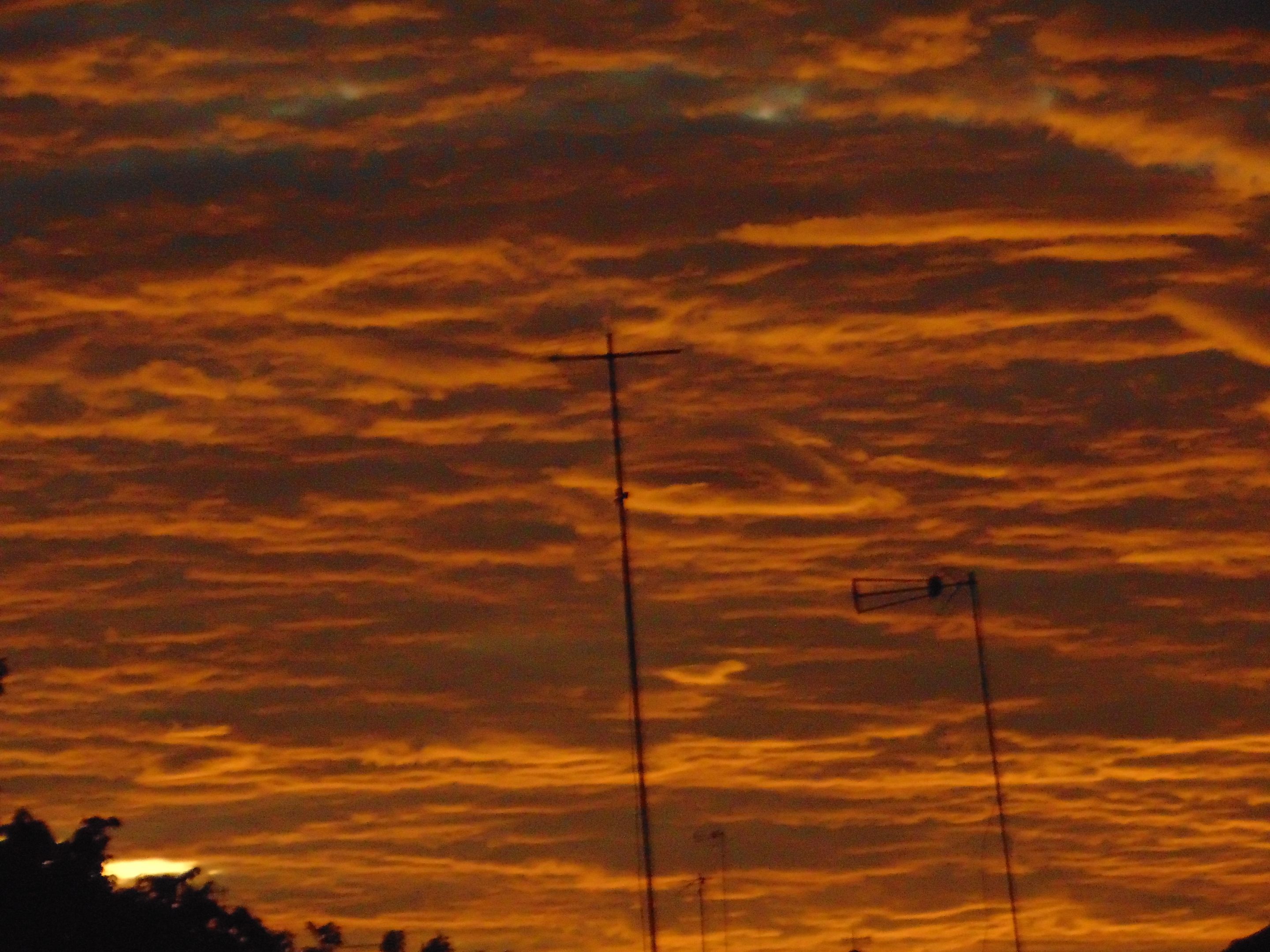 DSC01193.JPG