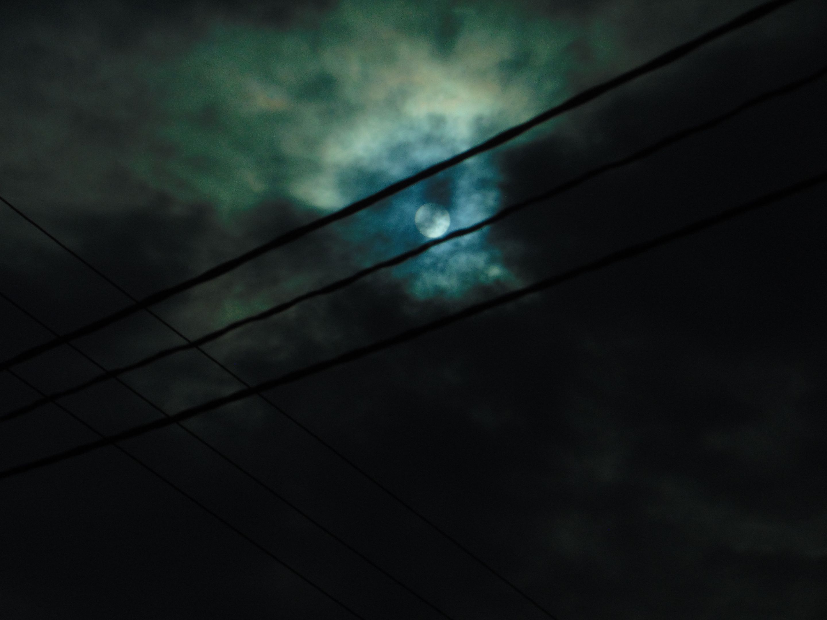 DSC07298.JPG