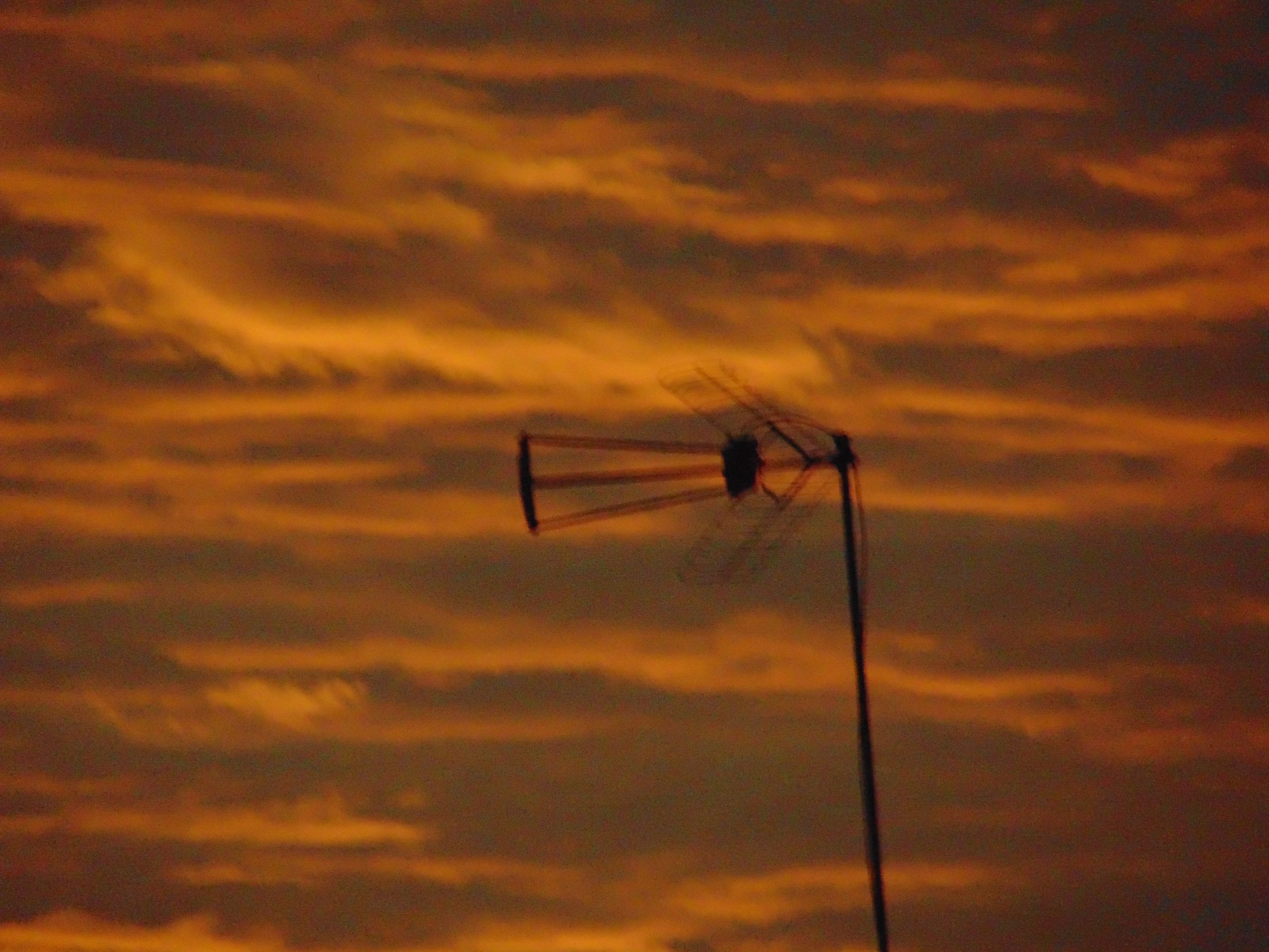 DSC01201.JPG