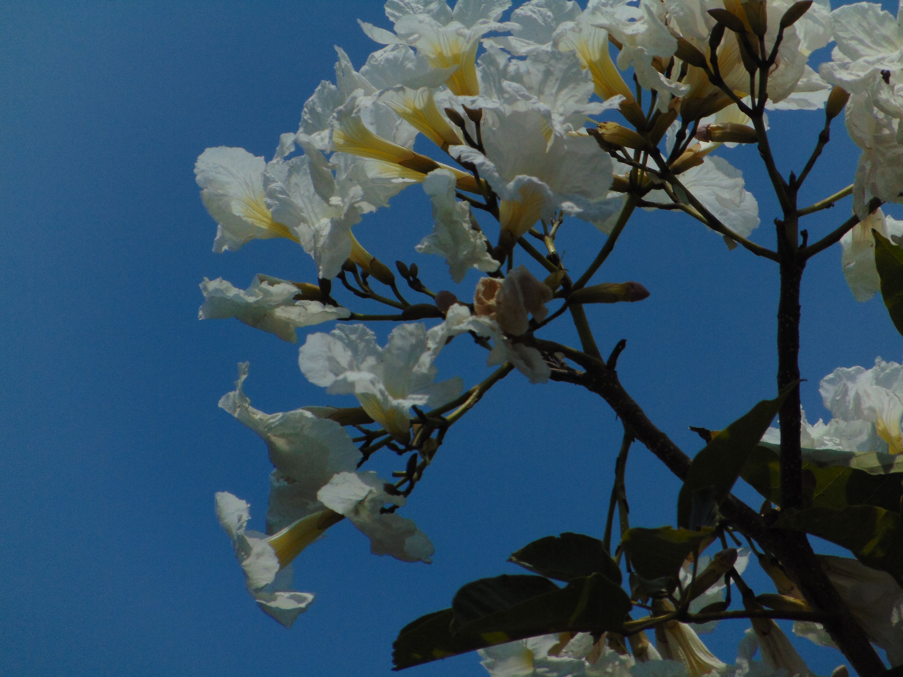 DSC07598.JPG