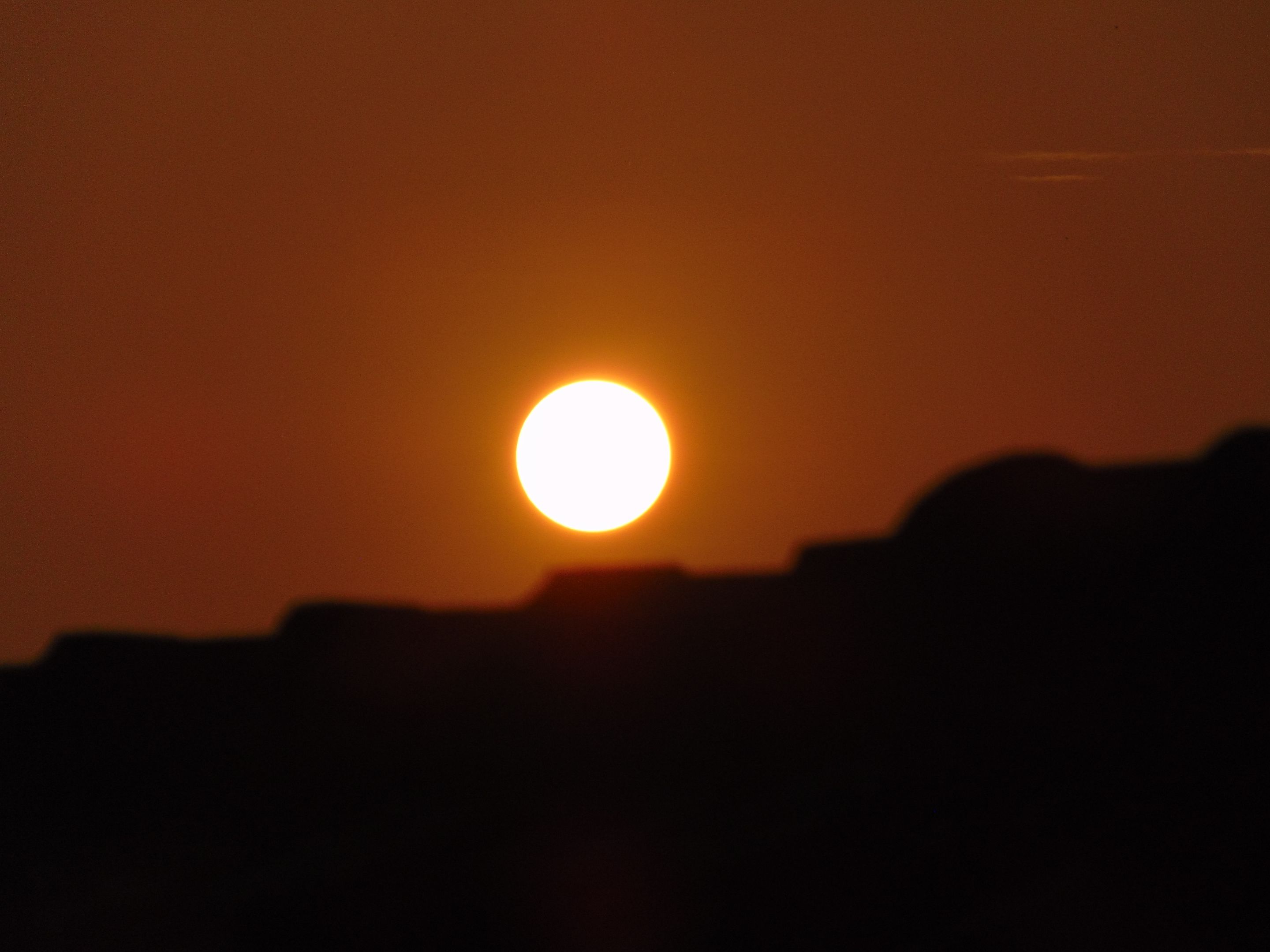 DSC03375.JPG