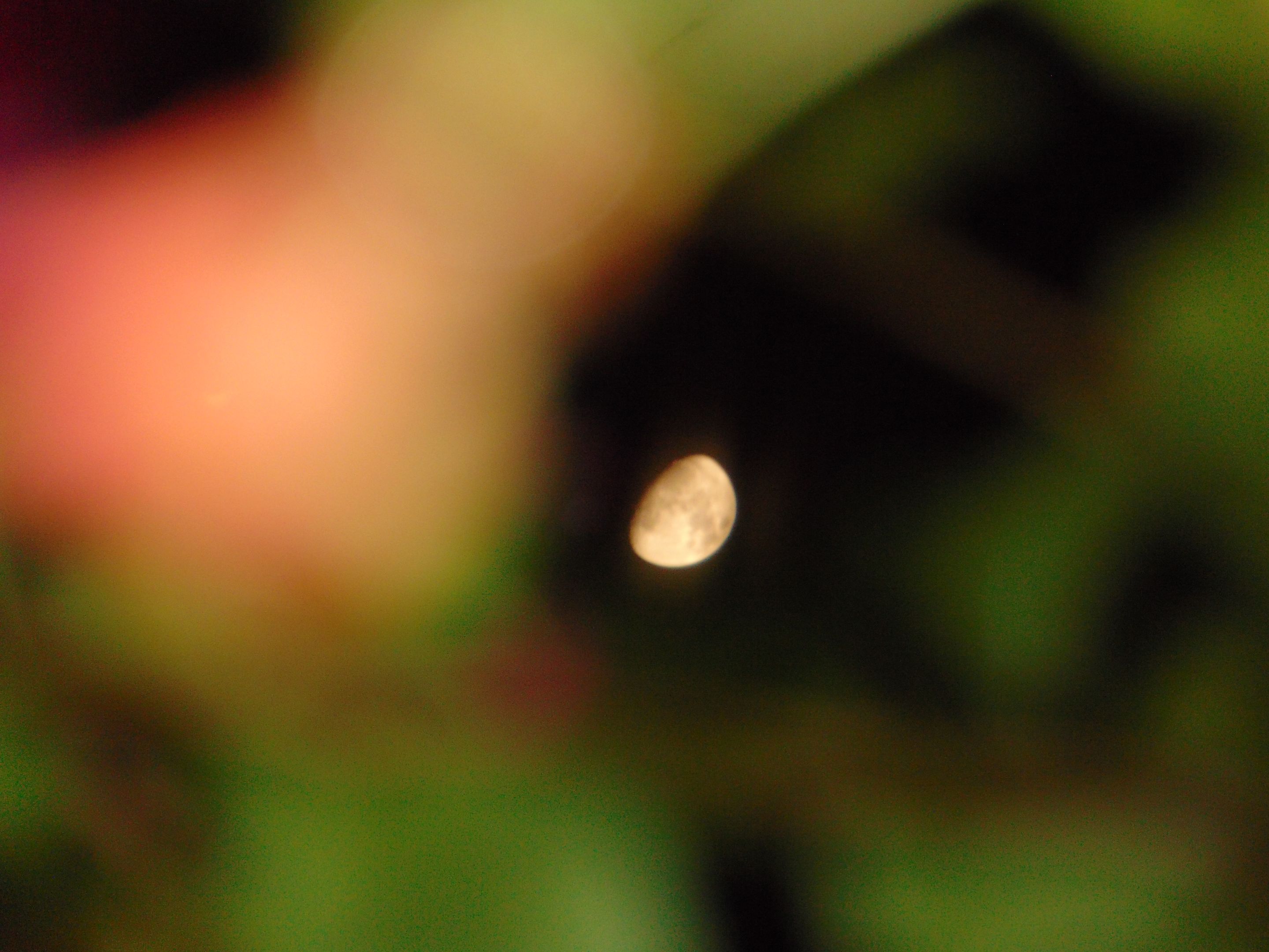 DSC07466.JPG