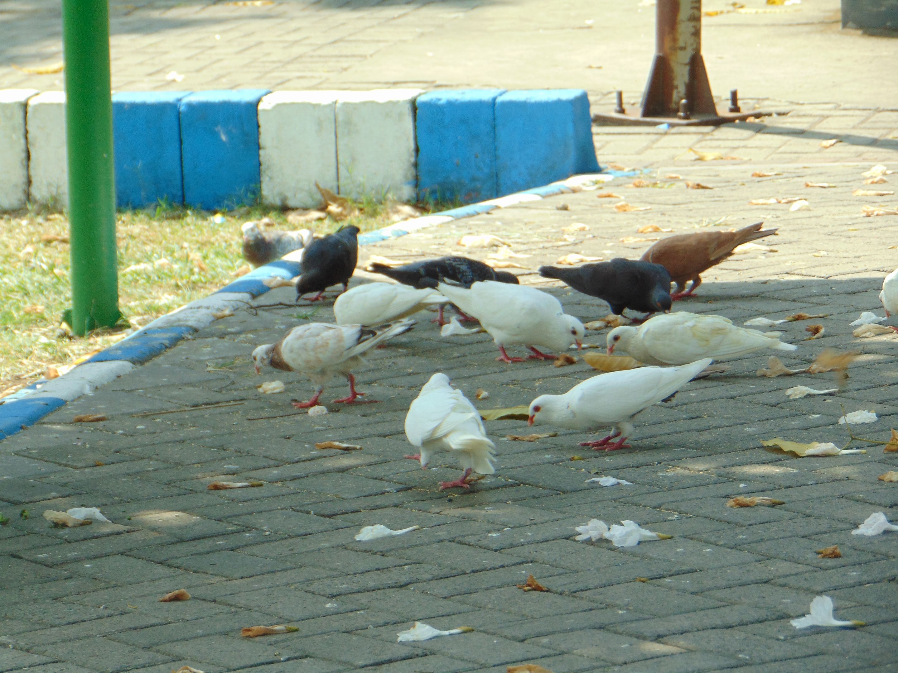 DSC07648.JPG