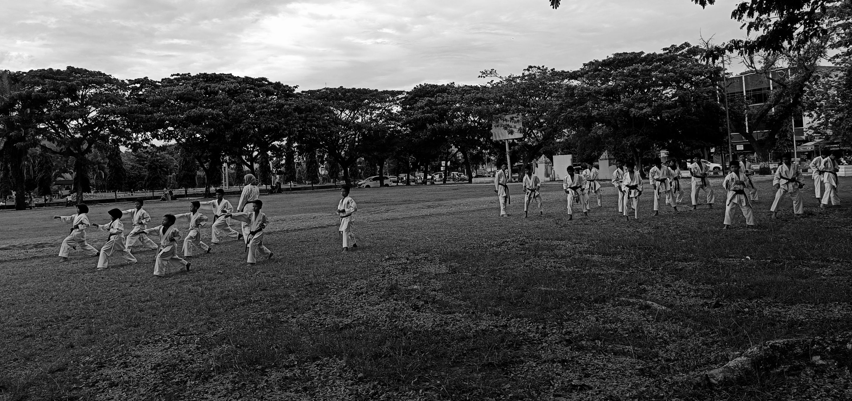 IMG_20220319_195301-01.jpeg