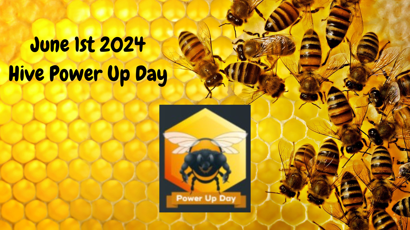 March 1st 2022 Hive Power Up Day (1).png