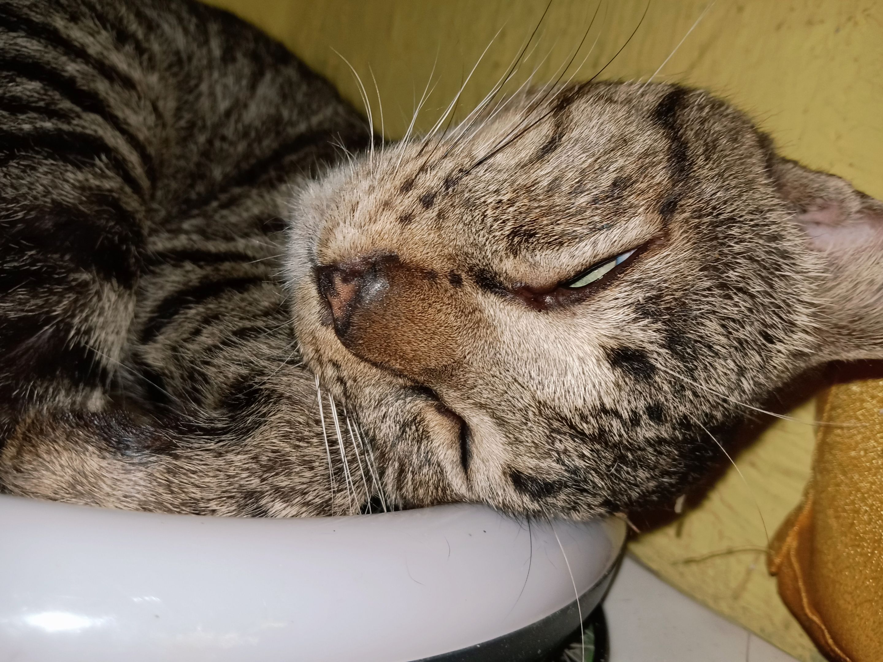 EoiVg2uqJw5i8WnCadnqvdHzMipj7NKfFs9U8DG5na3kwqp1QrkZrZ8gtPZEtEURD46.jpg