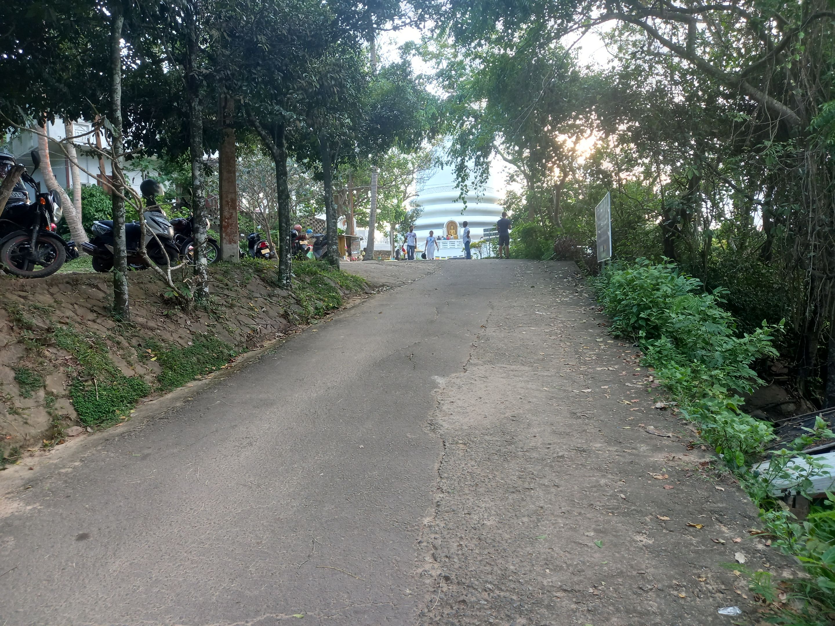 20221009_170937.jpg
