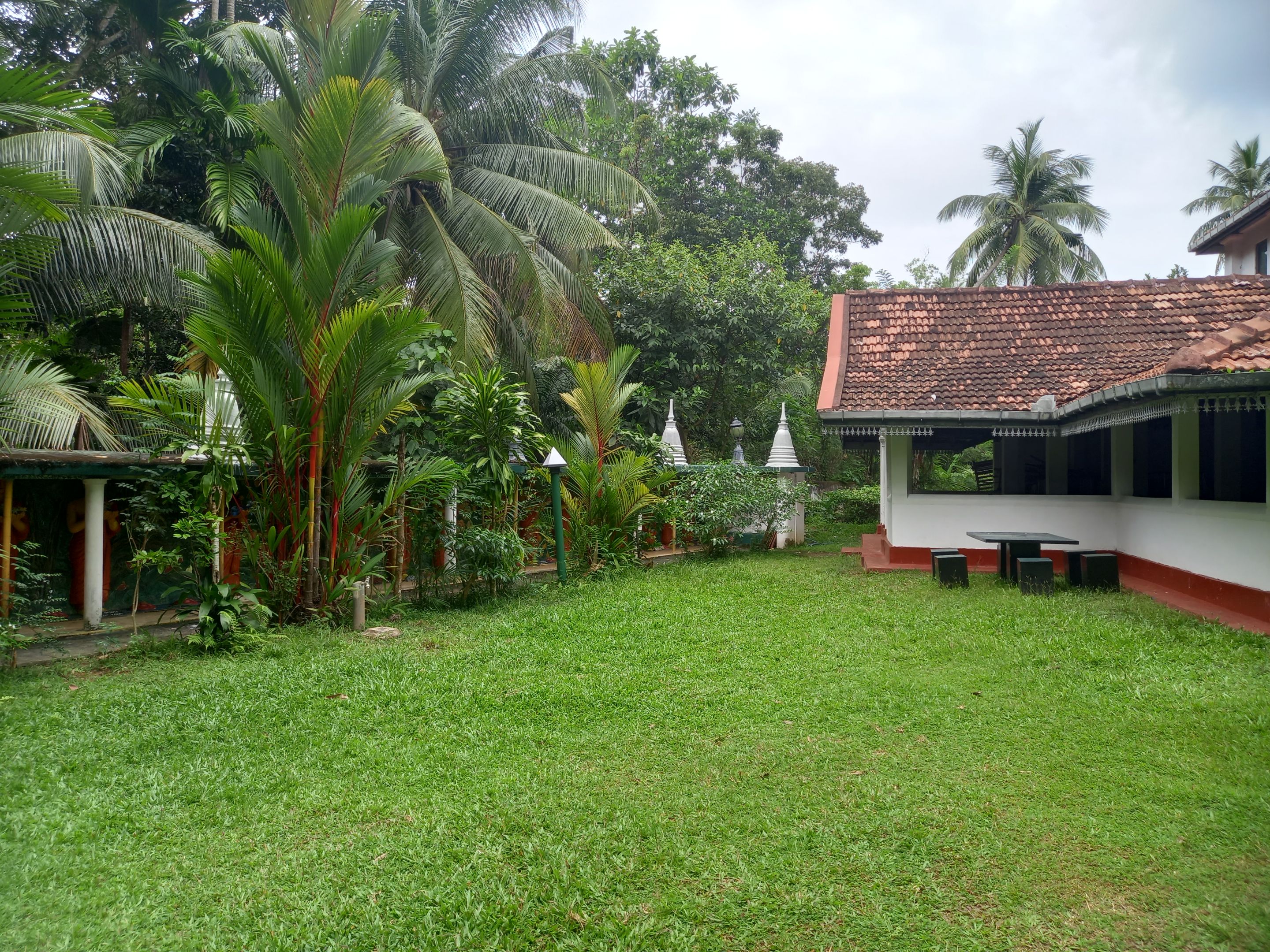 20230127_115015.jpg