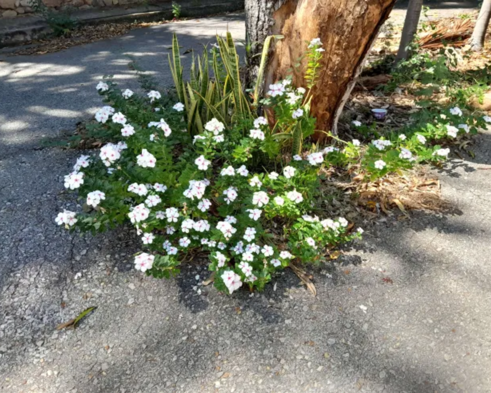 Audifonos para mi Gamer favorito (24).png