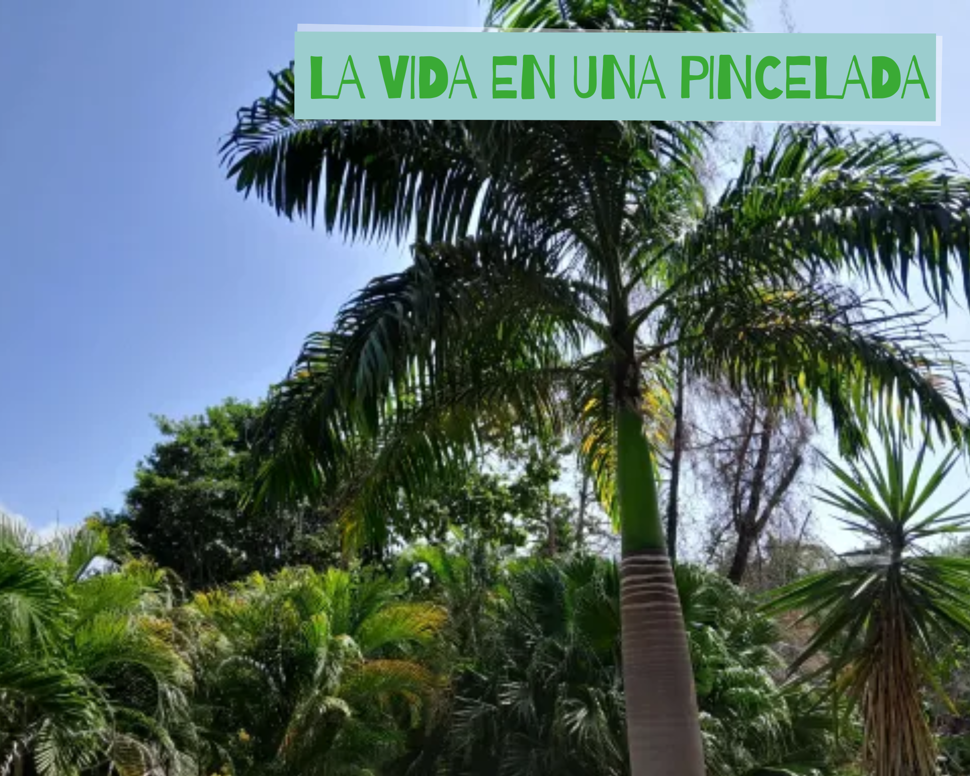 111 español.png
