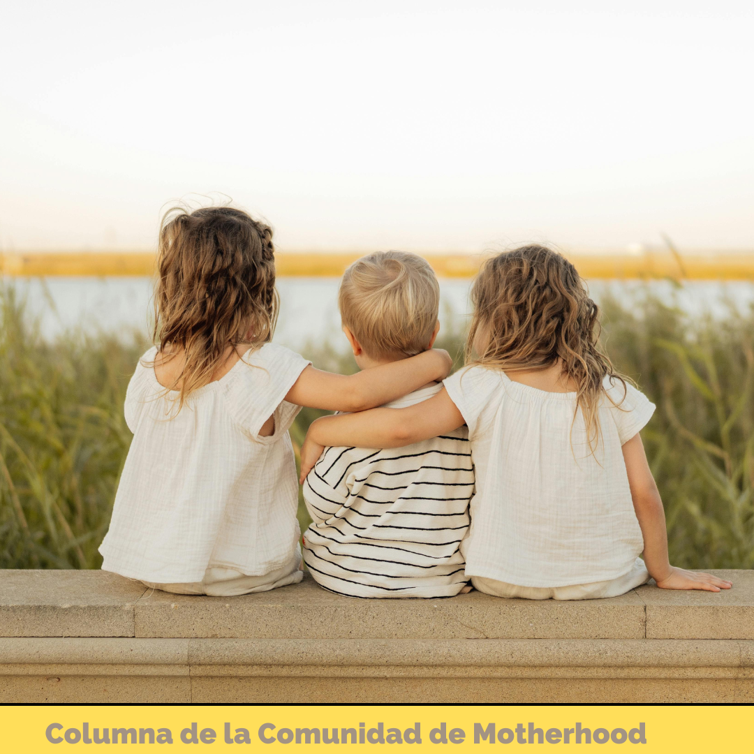 P333 español (3).png