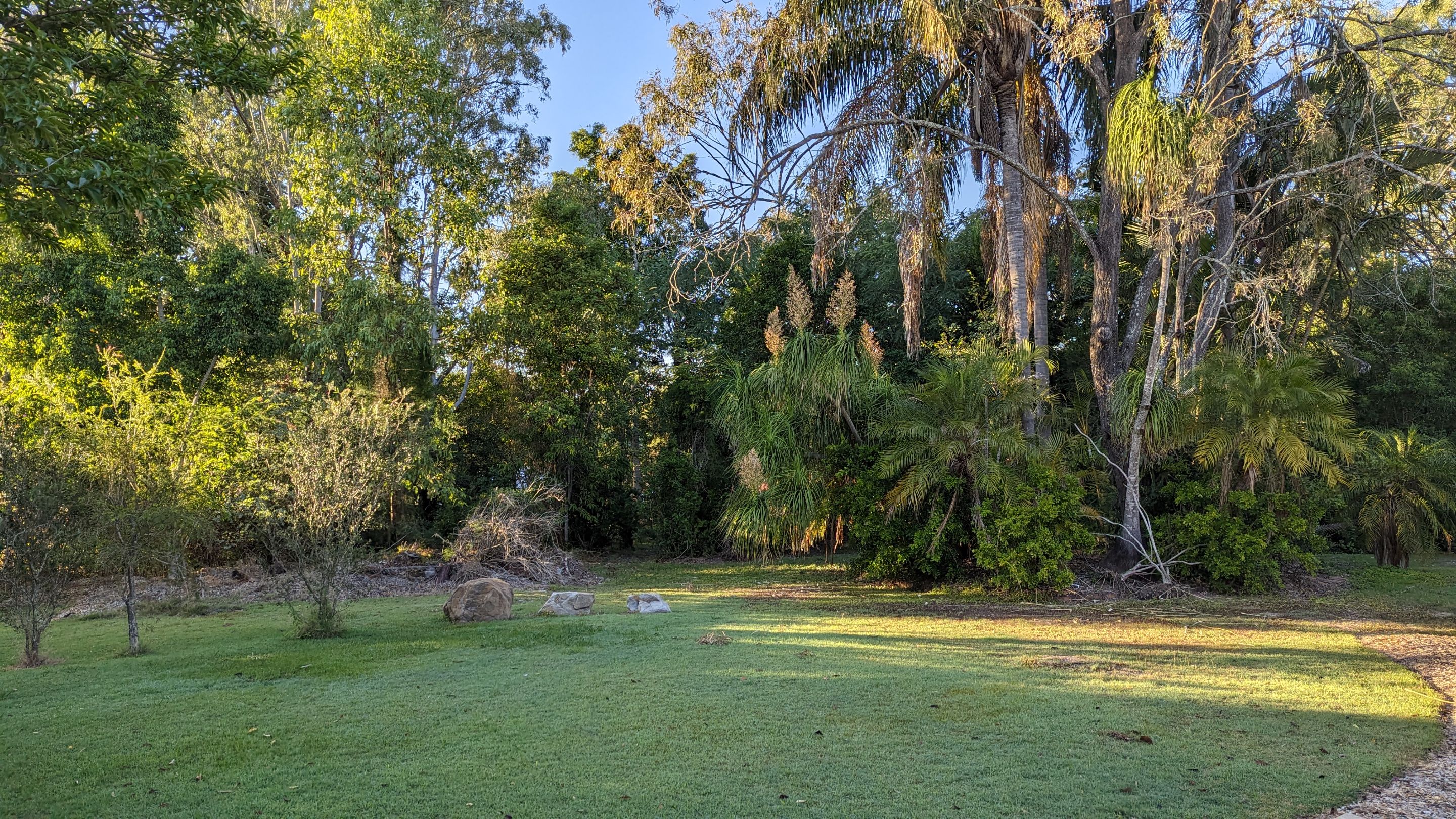 PXL_20230527_213752858.jpg
