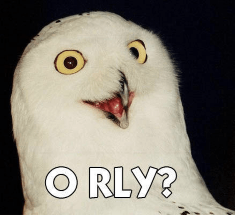 O RLY meme