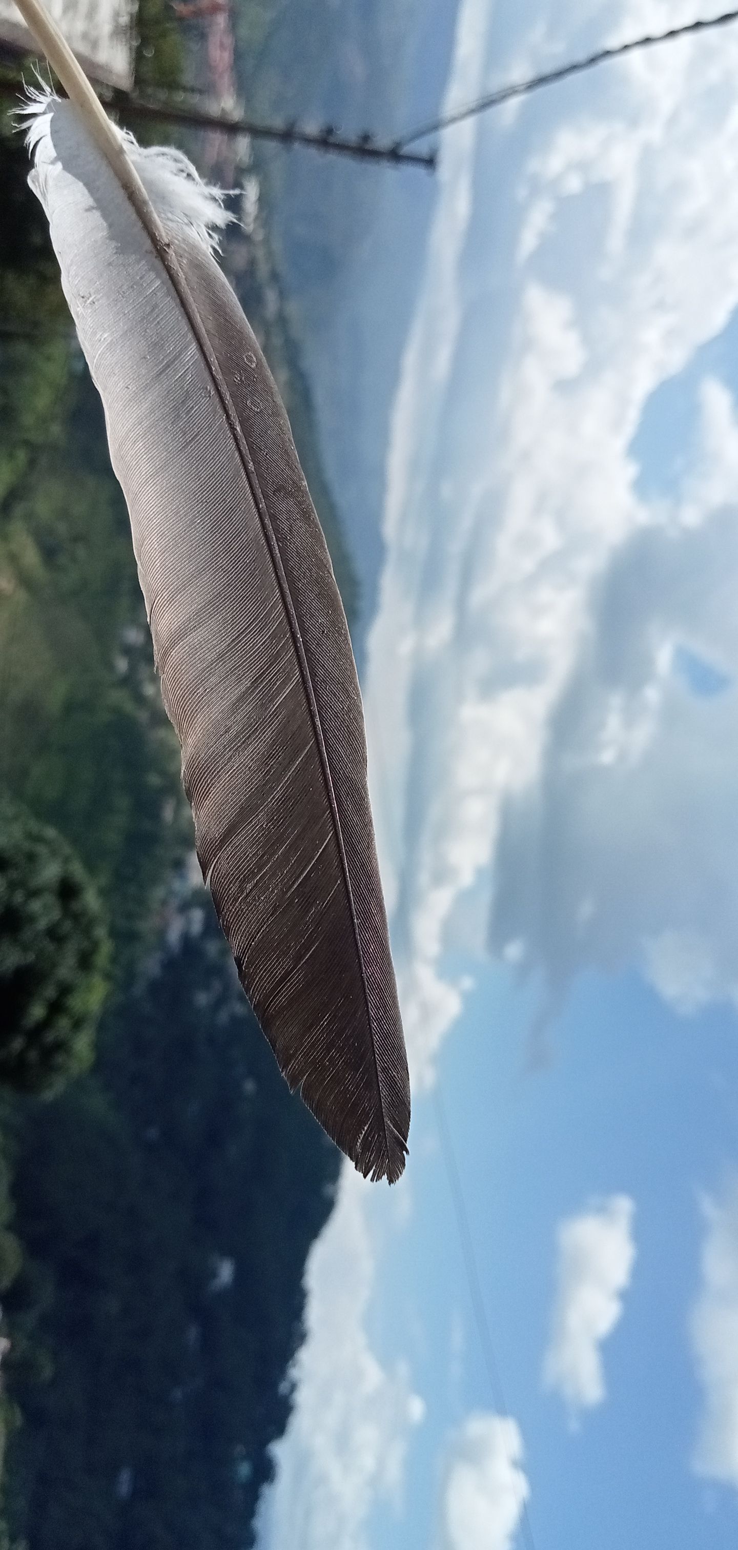 Snapchat-18125133.jpg