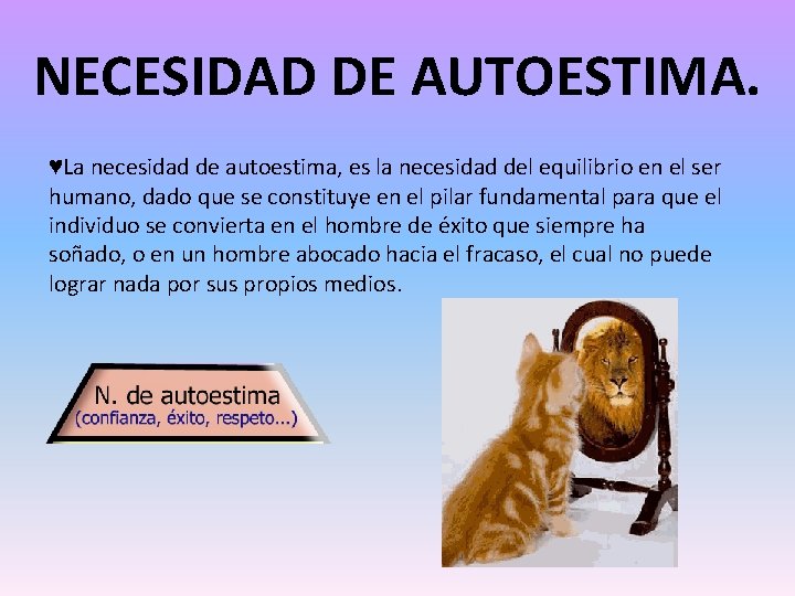image-5.jpg