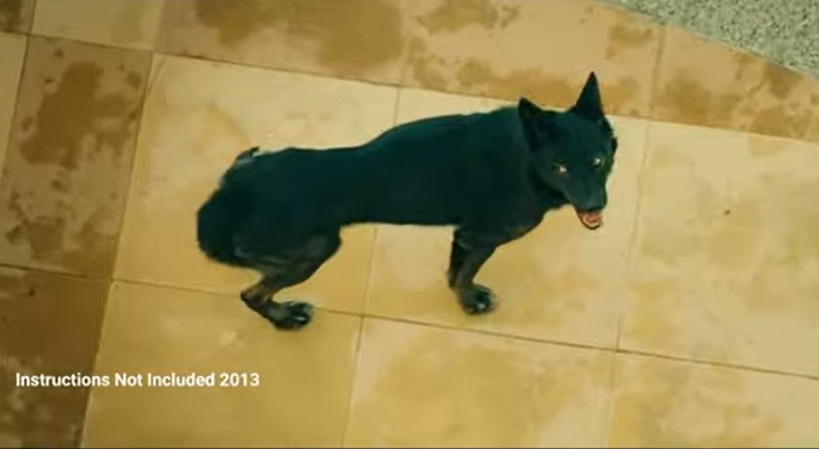 lobos.png/