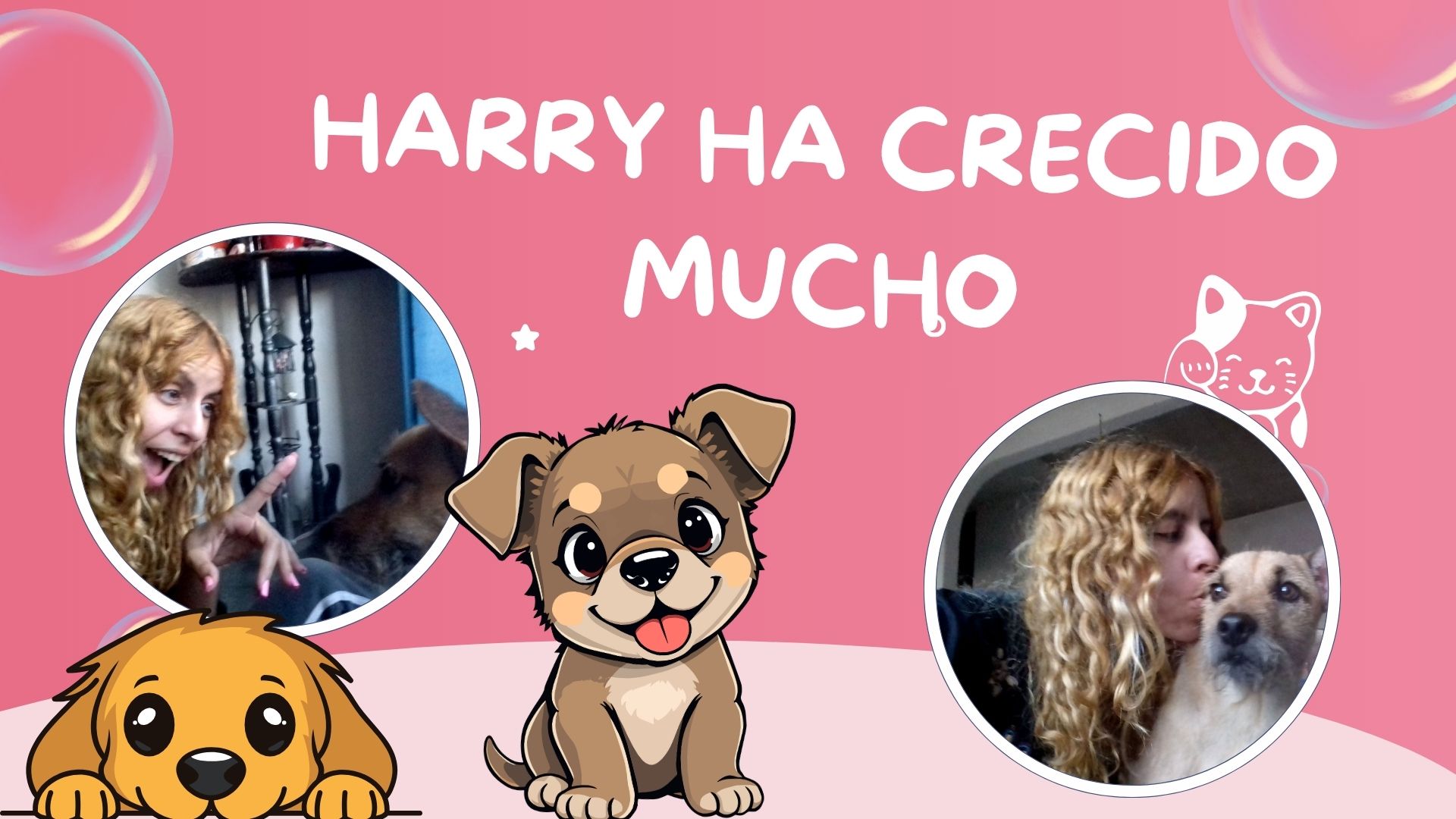 Pink Cute Illustration Pet Grooming Services Presentation (1).jpg