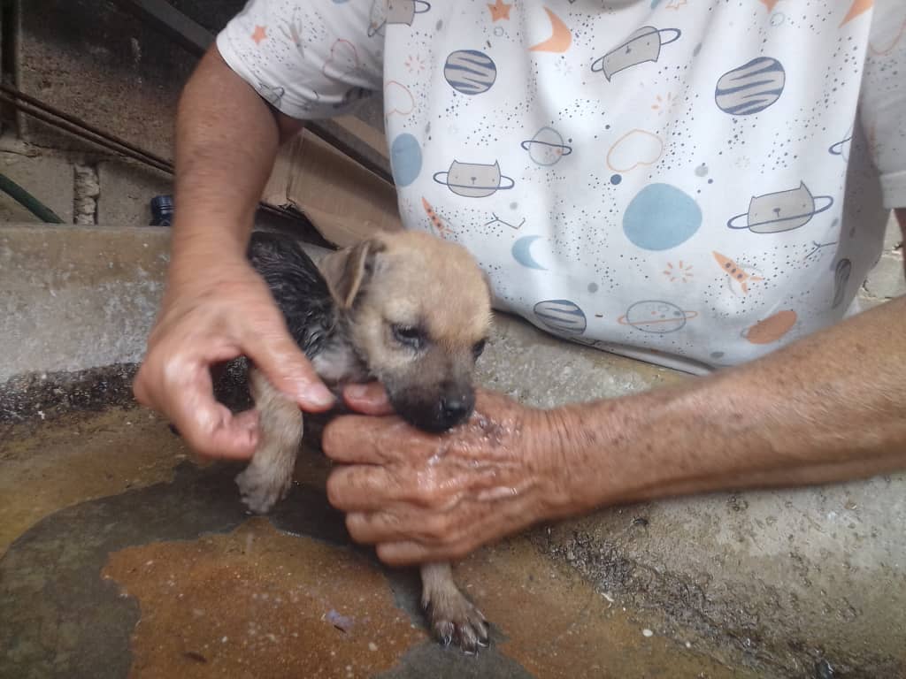 WhatsApp Image 2024-12-31 at 1.13.15 PM.jpeg