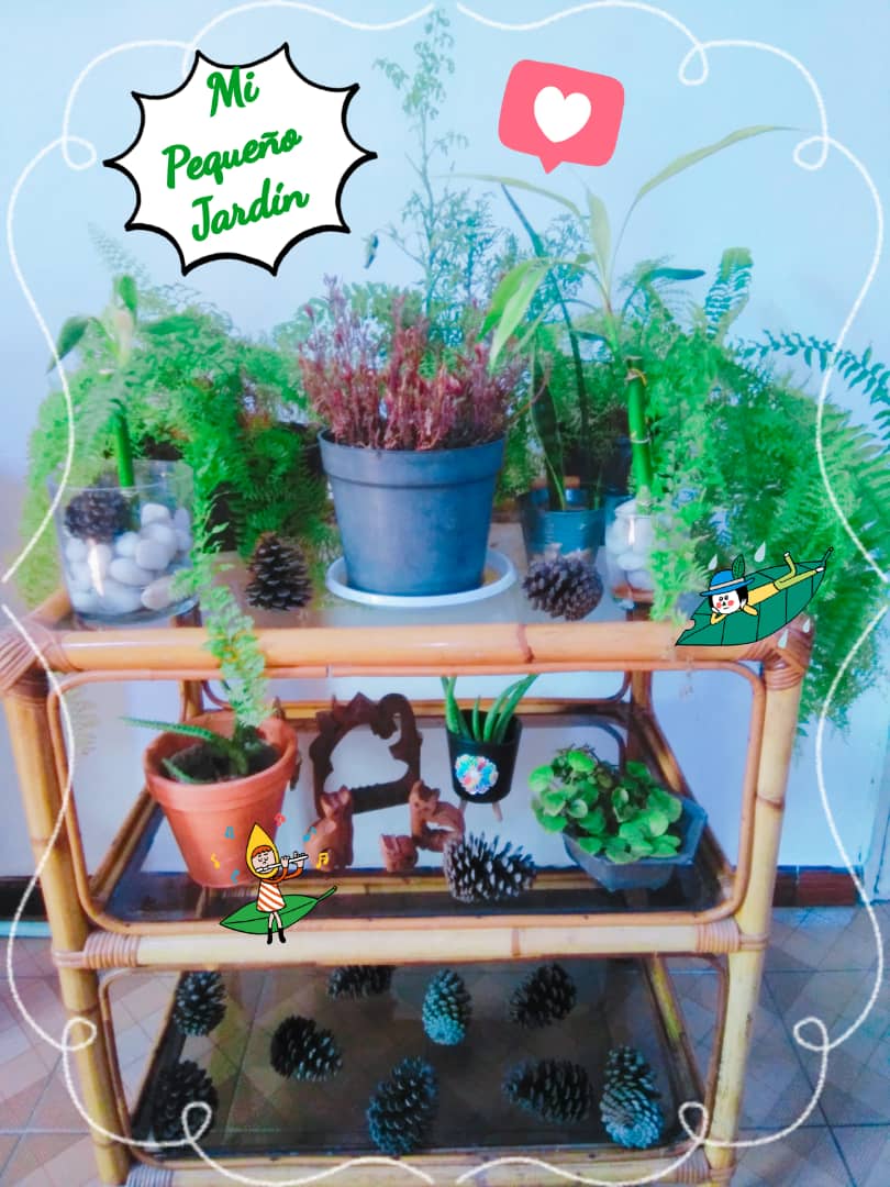 mi pequeno jardin.jpg