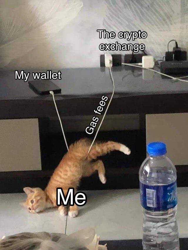 ethe cat.jpg