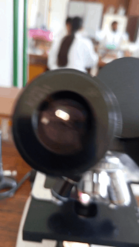 Media_220519_184610.gif