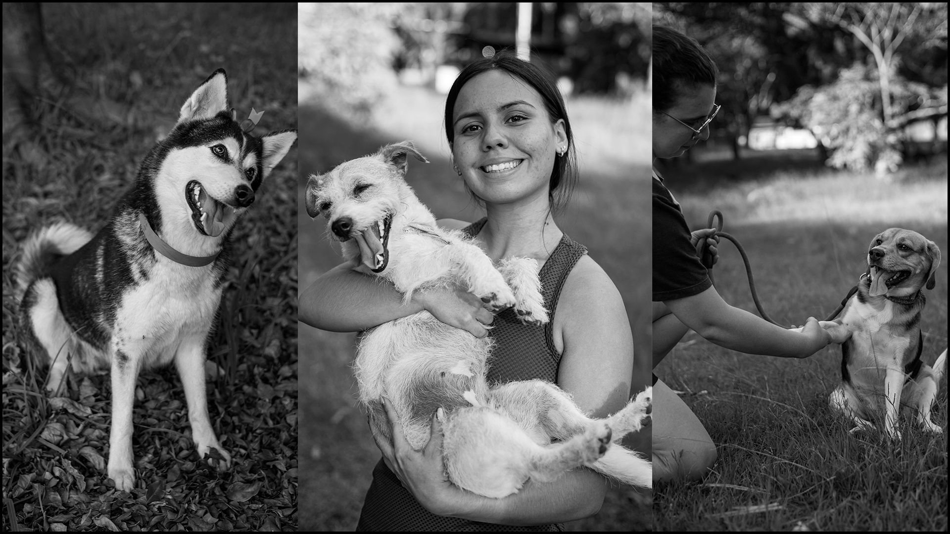 Photographing dogs in the park - Monomad Challenge.