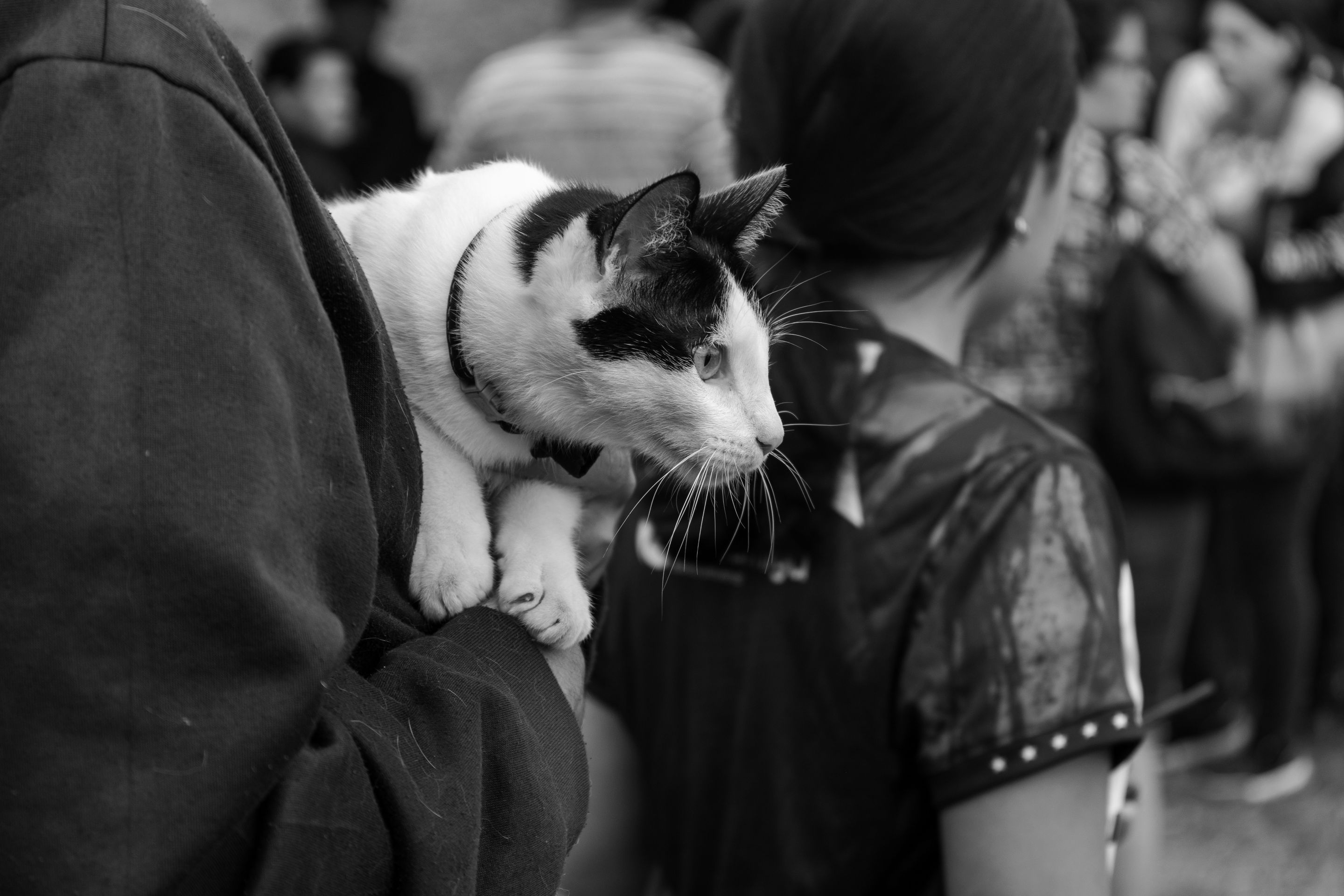 IMG_8455.jpg