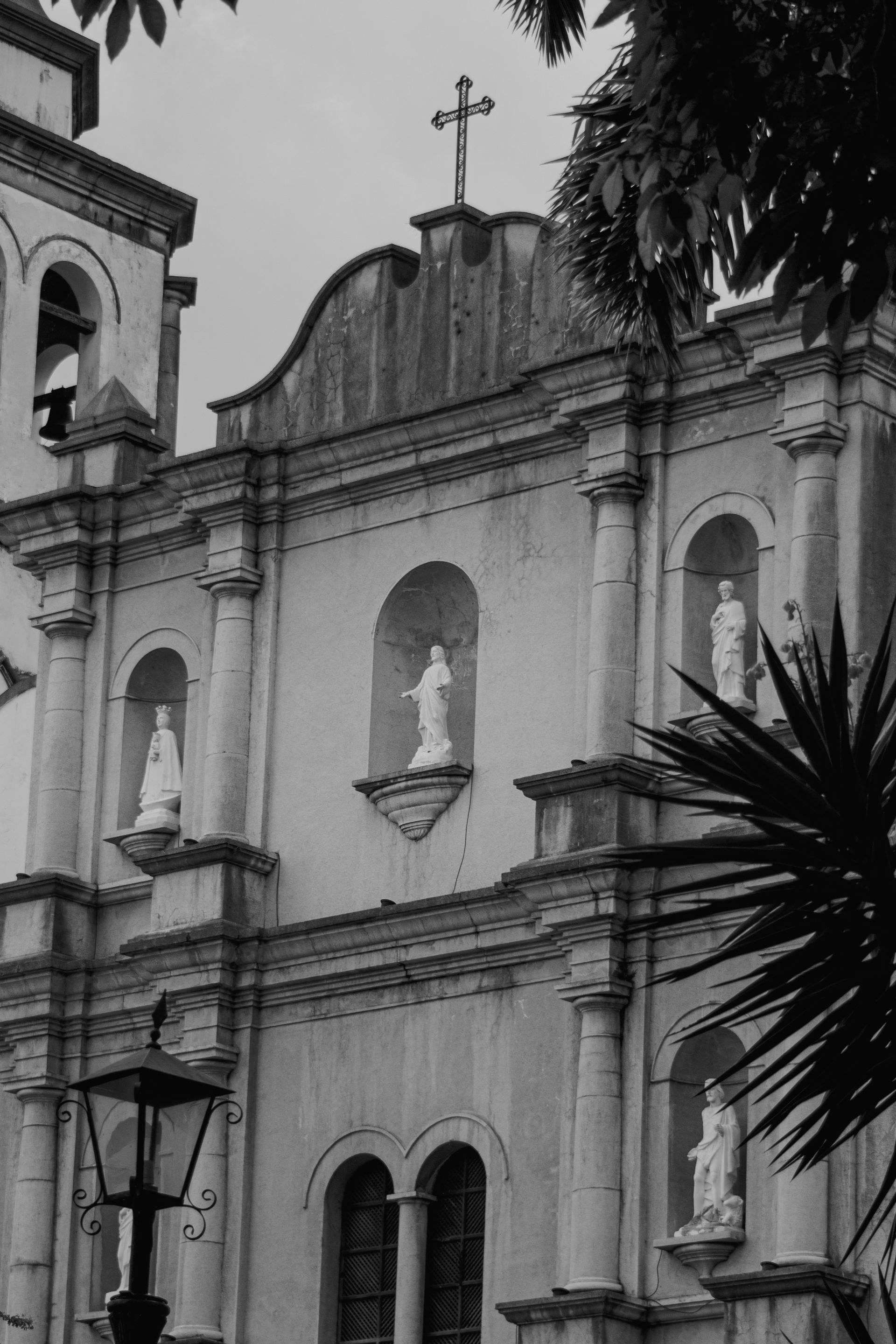 _MG_2678.jpg