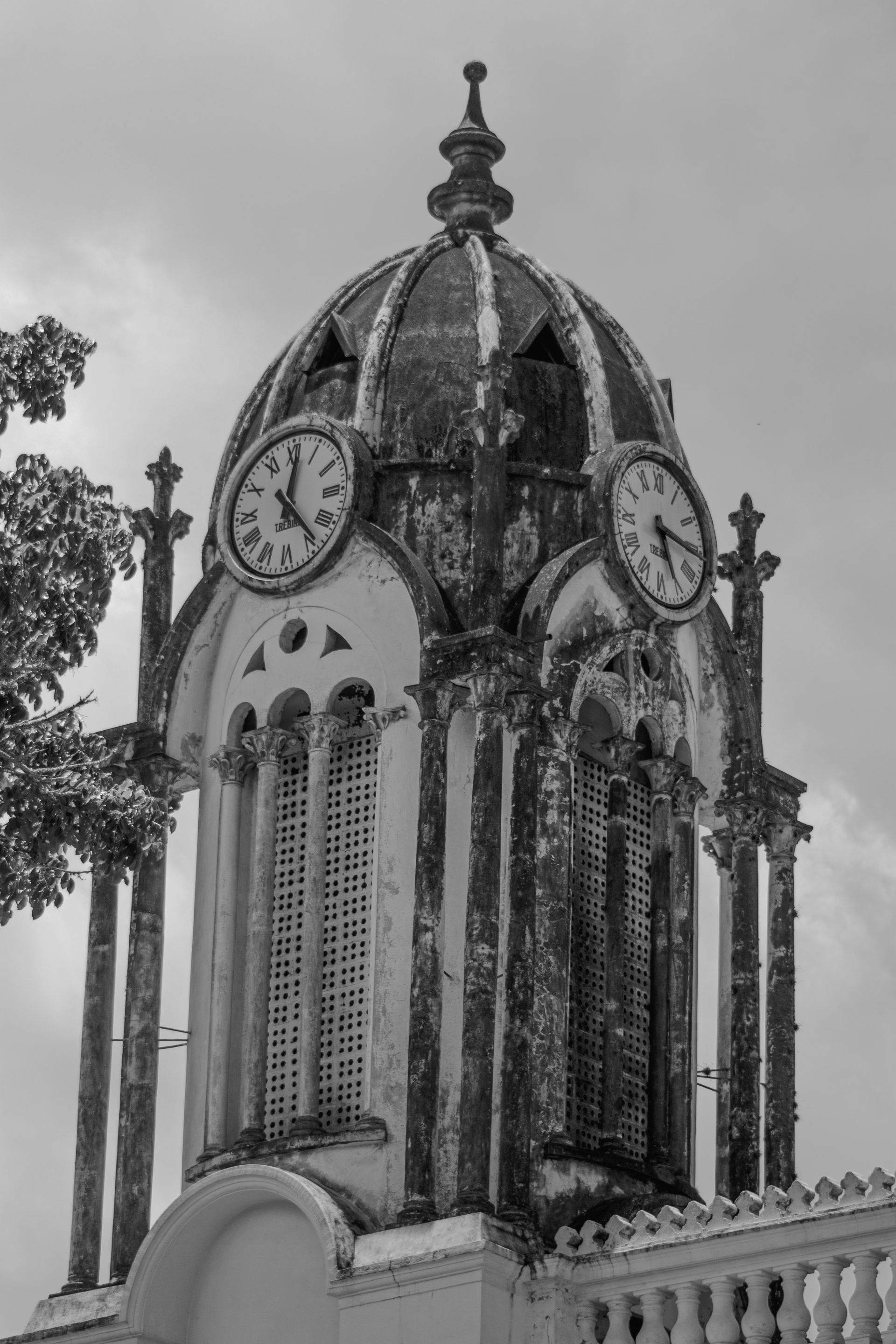 _MG_2638.jpg