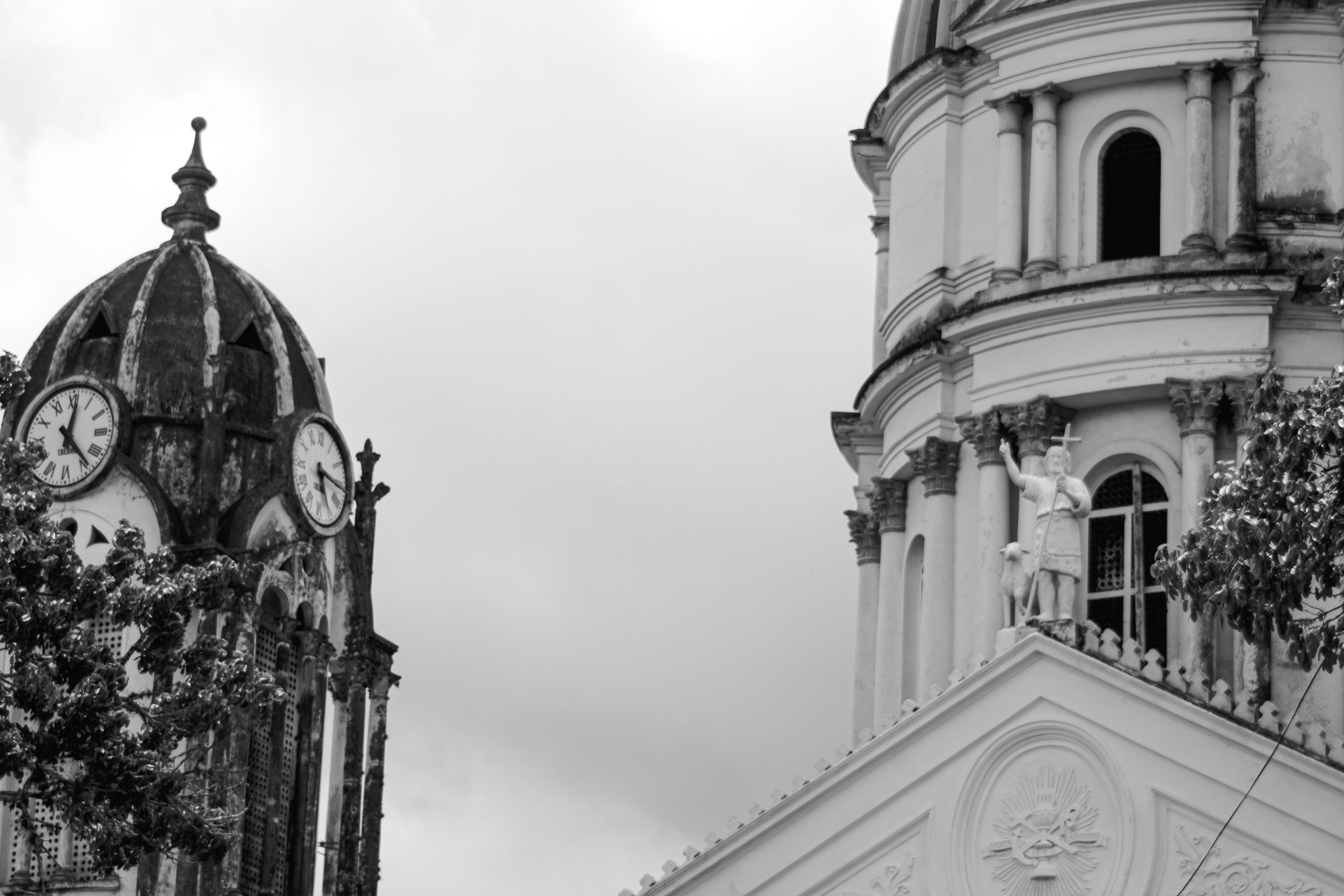 _MG_2655.jpg