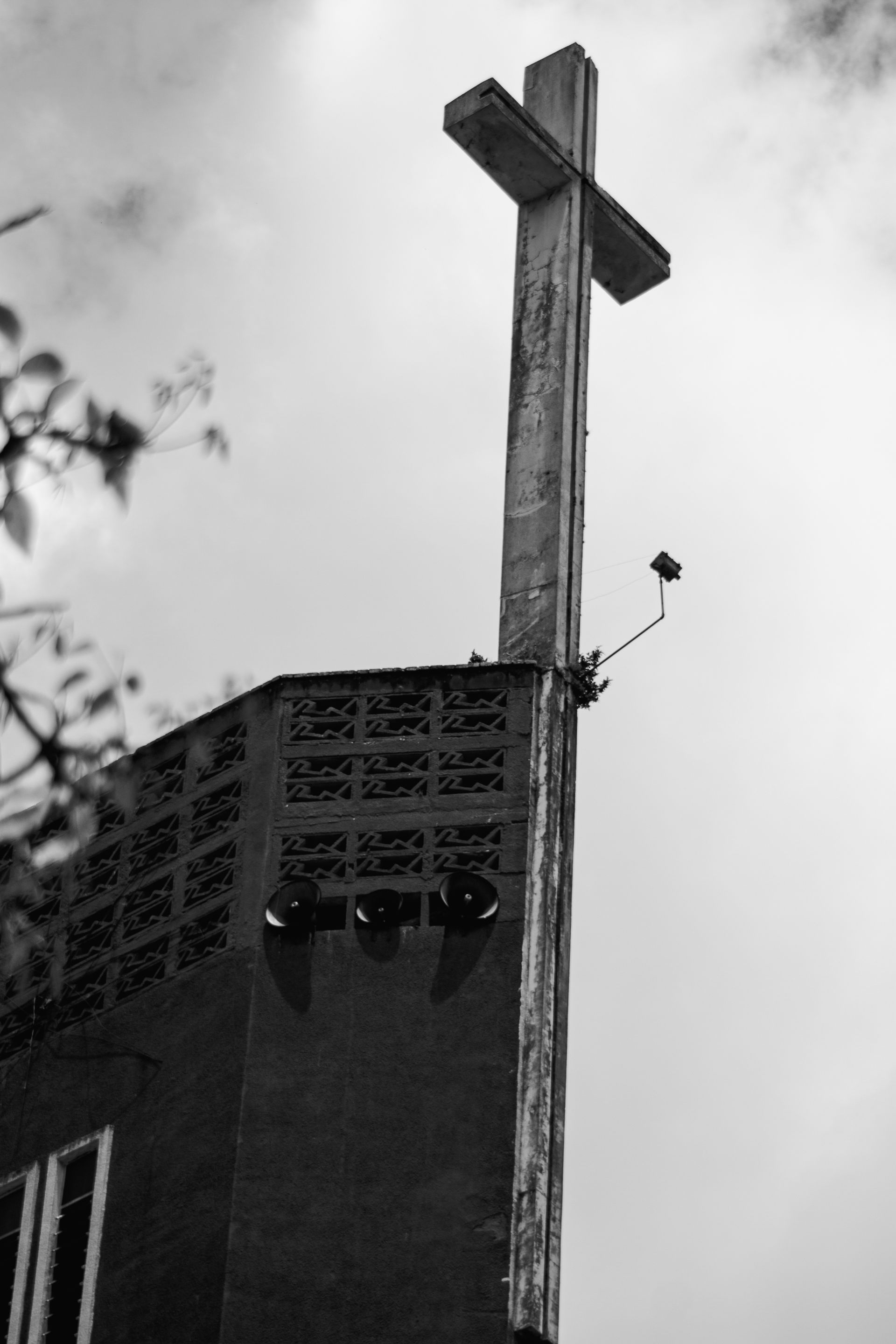 _MG_2696.jpg