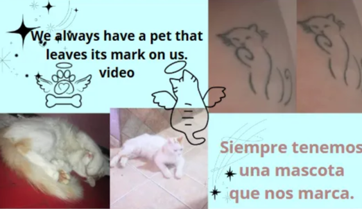 9.PNG