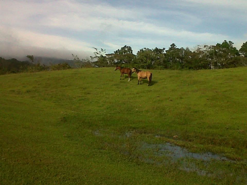 IMG-20250622-WA0029.jpg