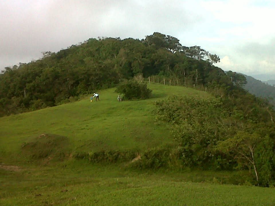 IMG-20250622-WA0027.jpg