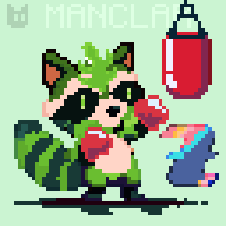 MAPACHEBOXEO500.png