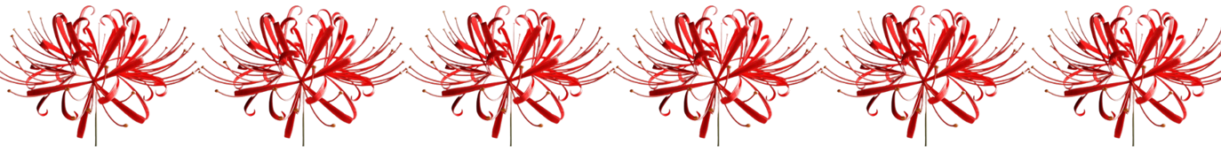 separador flor del infierno.png