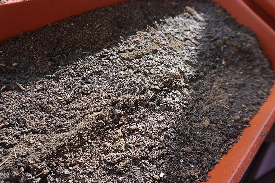 SeedPlanting_03_s.jpg