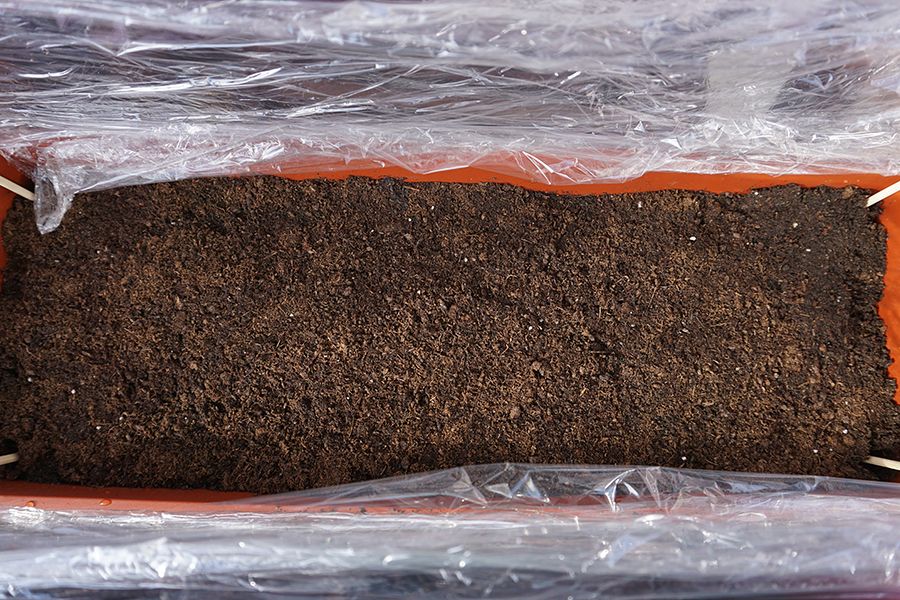 SeedPlanting_05_s.jpg