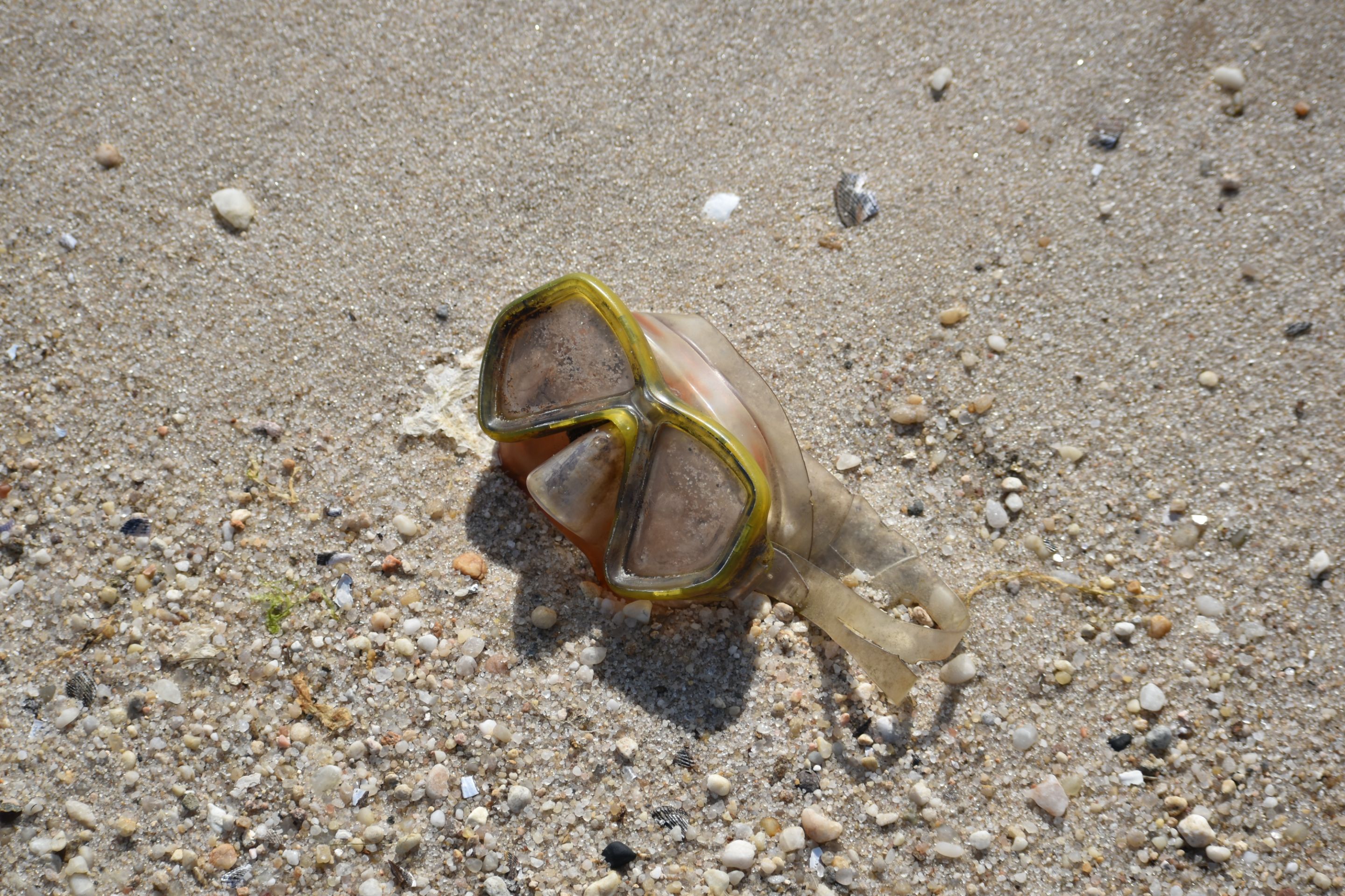 DSC_0136.JPG